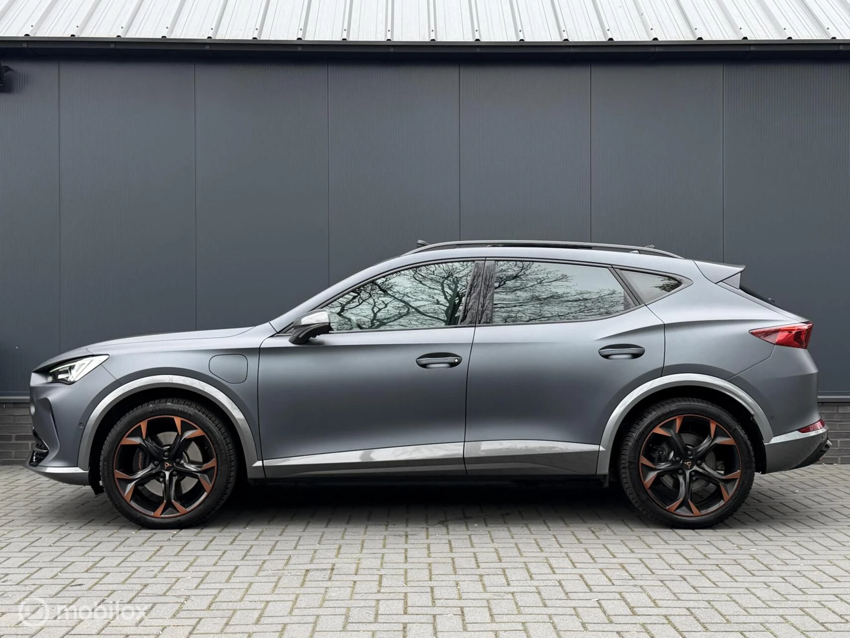 Hoofdafbeelding CUPRA Formentor