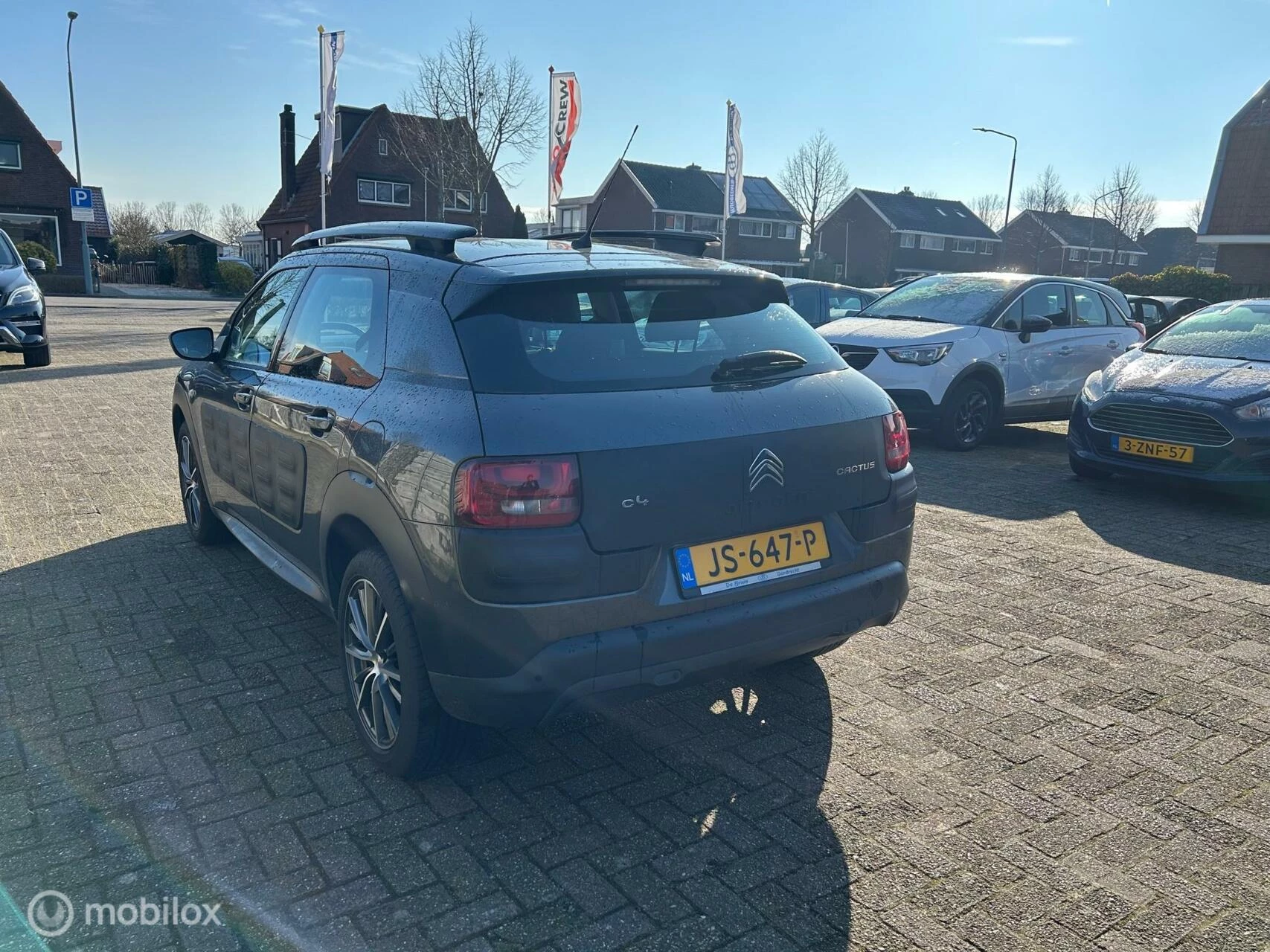 Hoofdafbeelding Citroën C4 Cactus