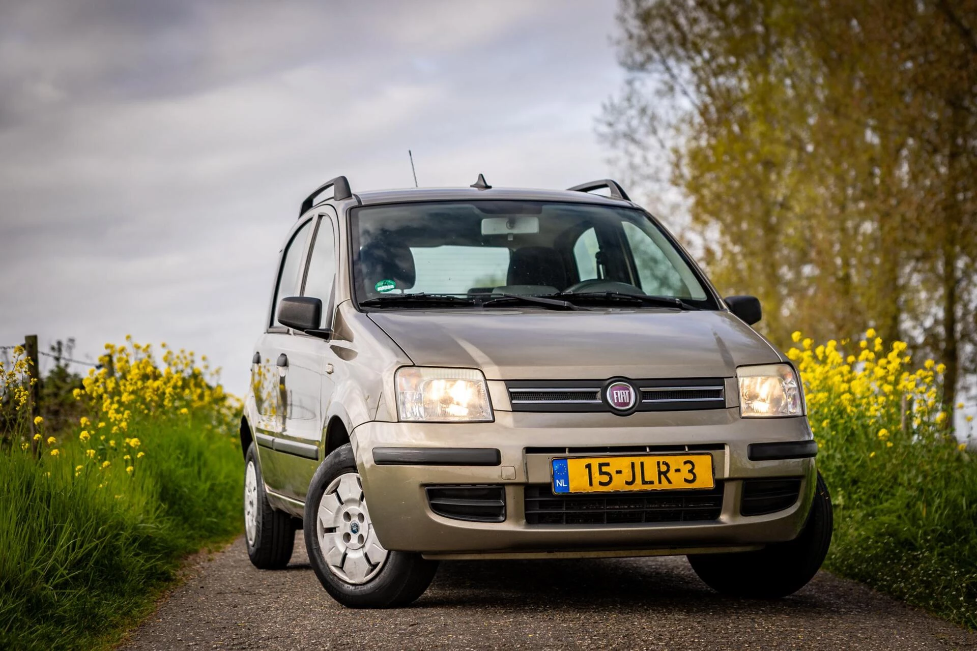 Hoofdafbeelding Fiat Panda