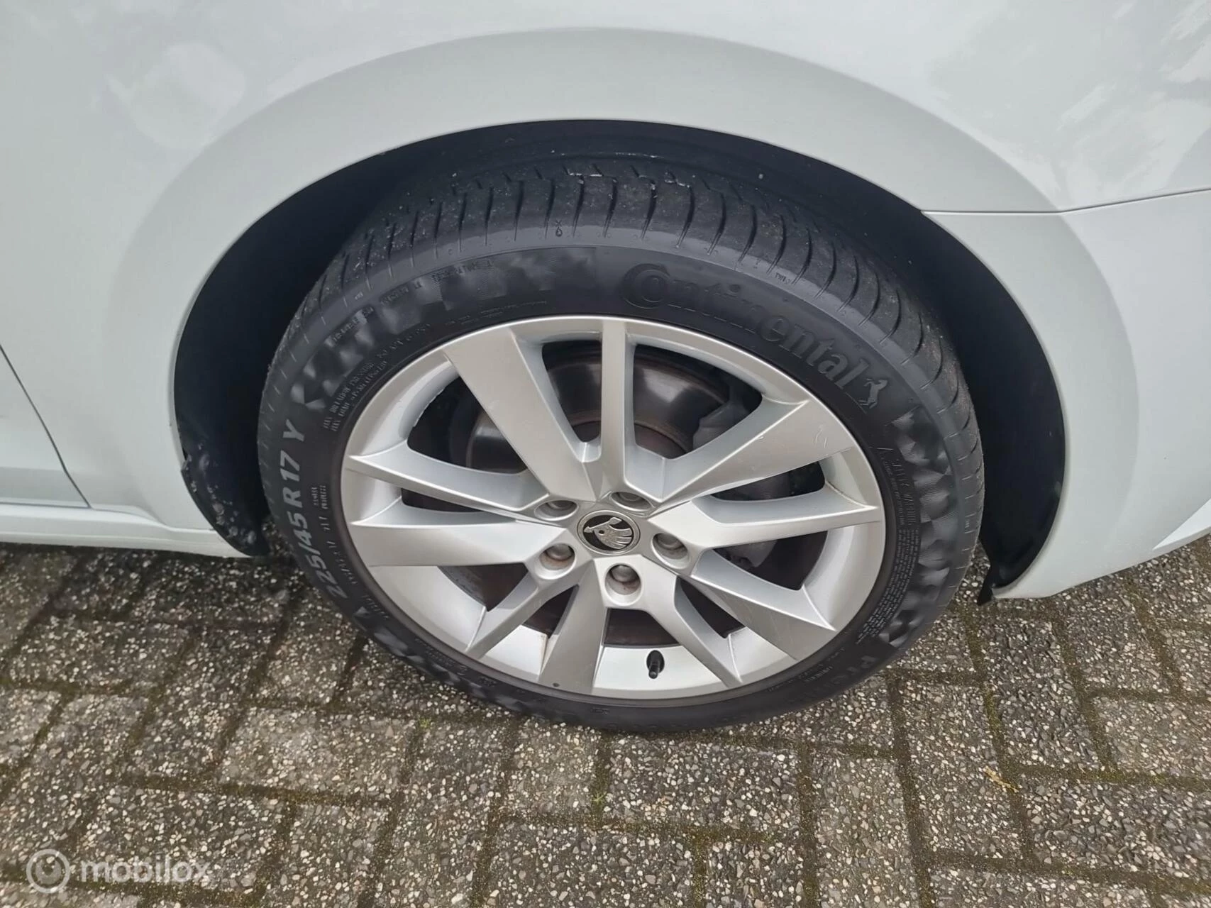 Hoofdafbeelding Škoda Octavia