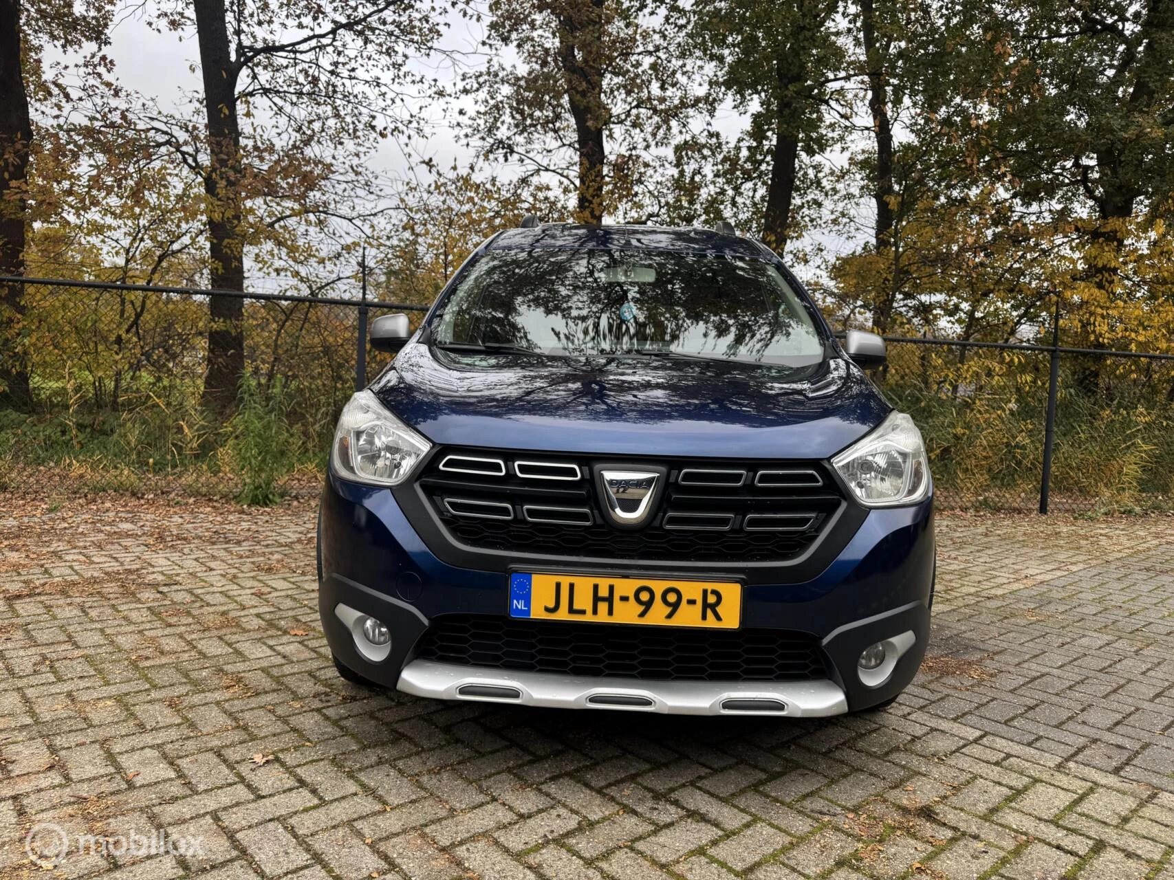 Hoofdafbeelding Dacia Dokker