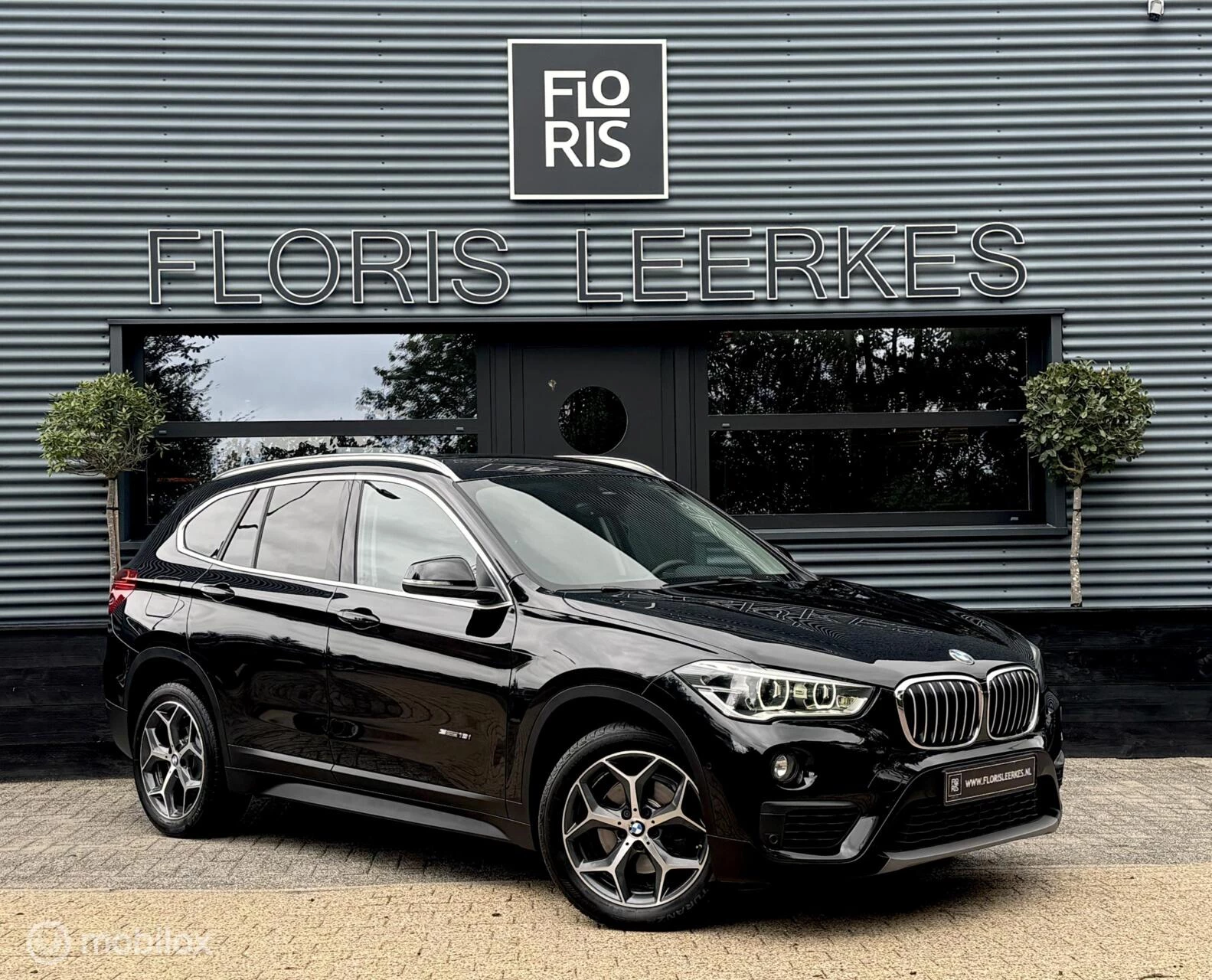 Hoofdafbeelding BMW X1