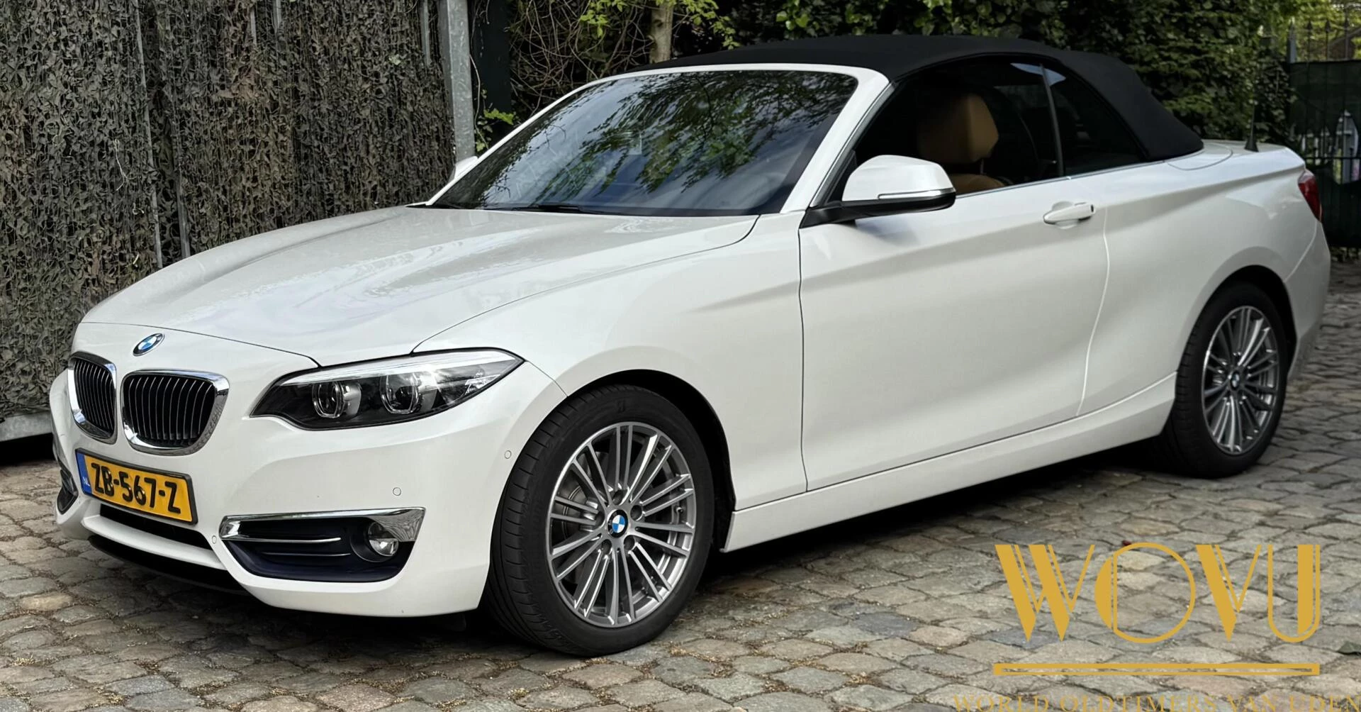 Hoofdafbeelding BMW 2 Serie
