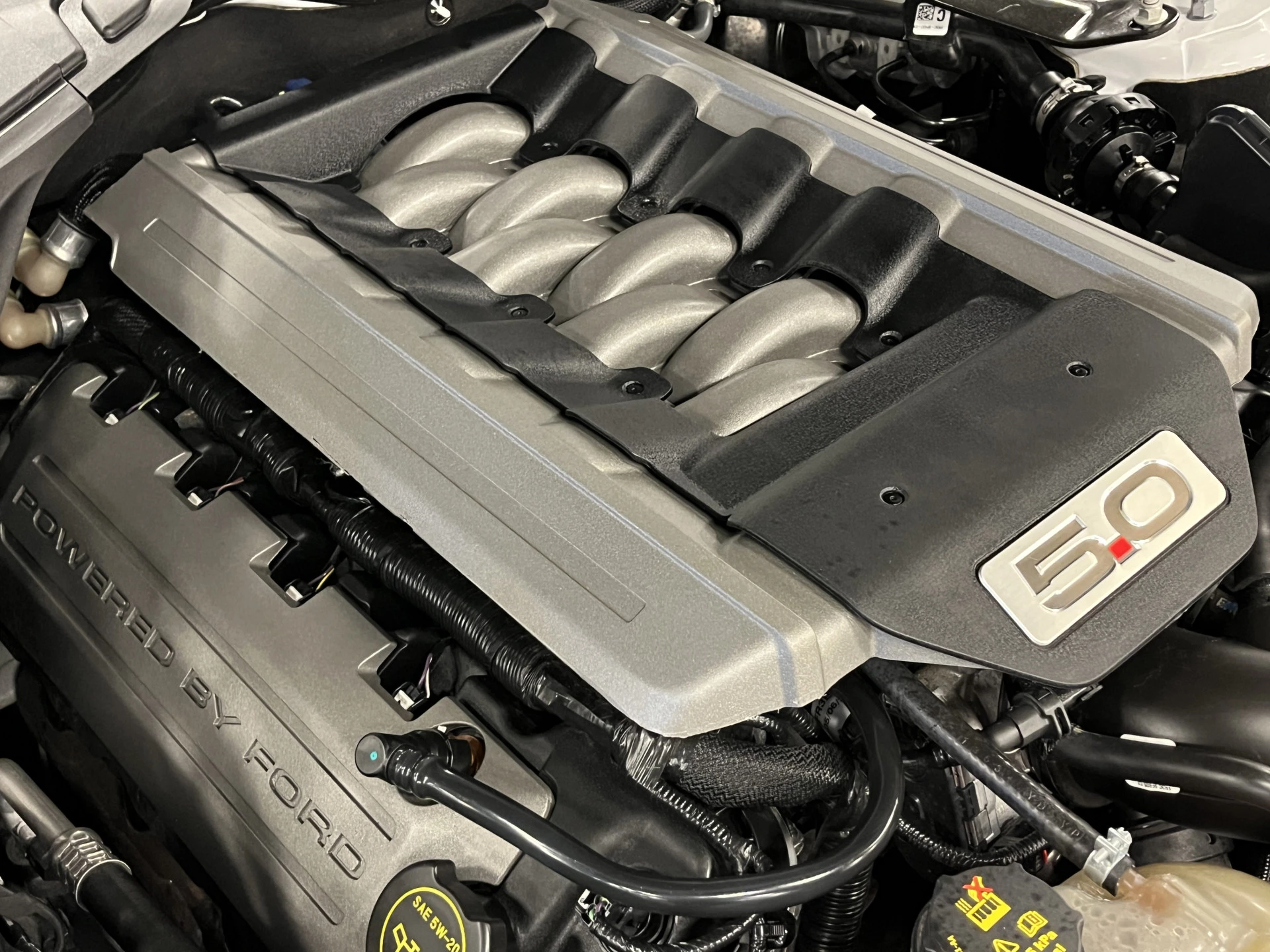 Hoofdafbeelding Ford Mustang