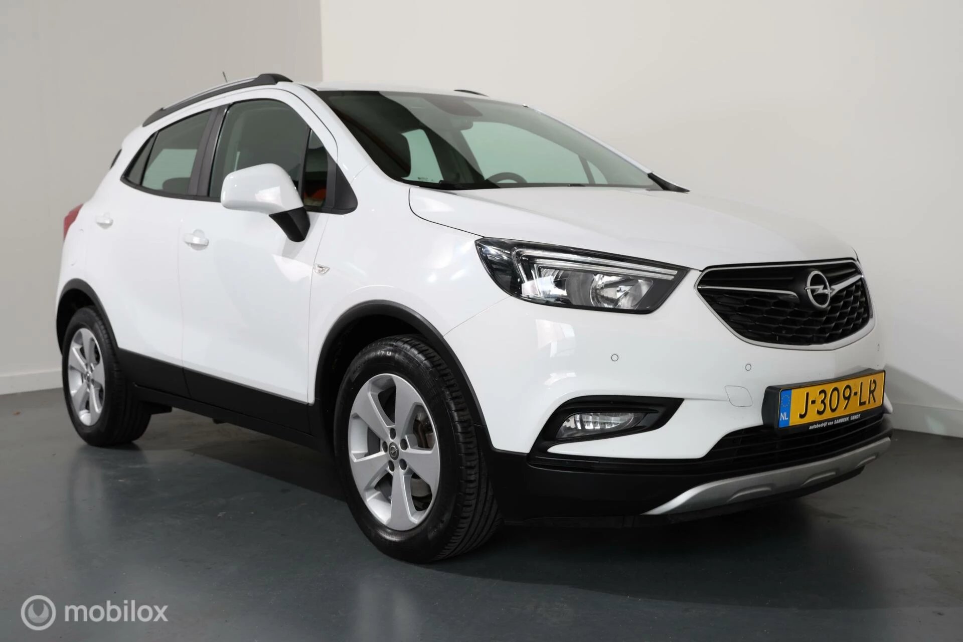 Hoofdafbeelding Opel Mokka X