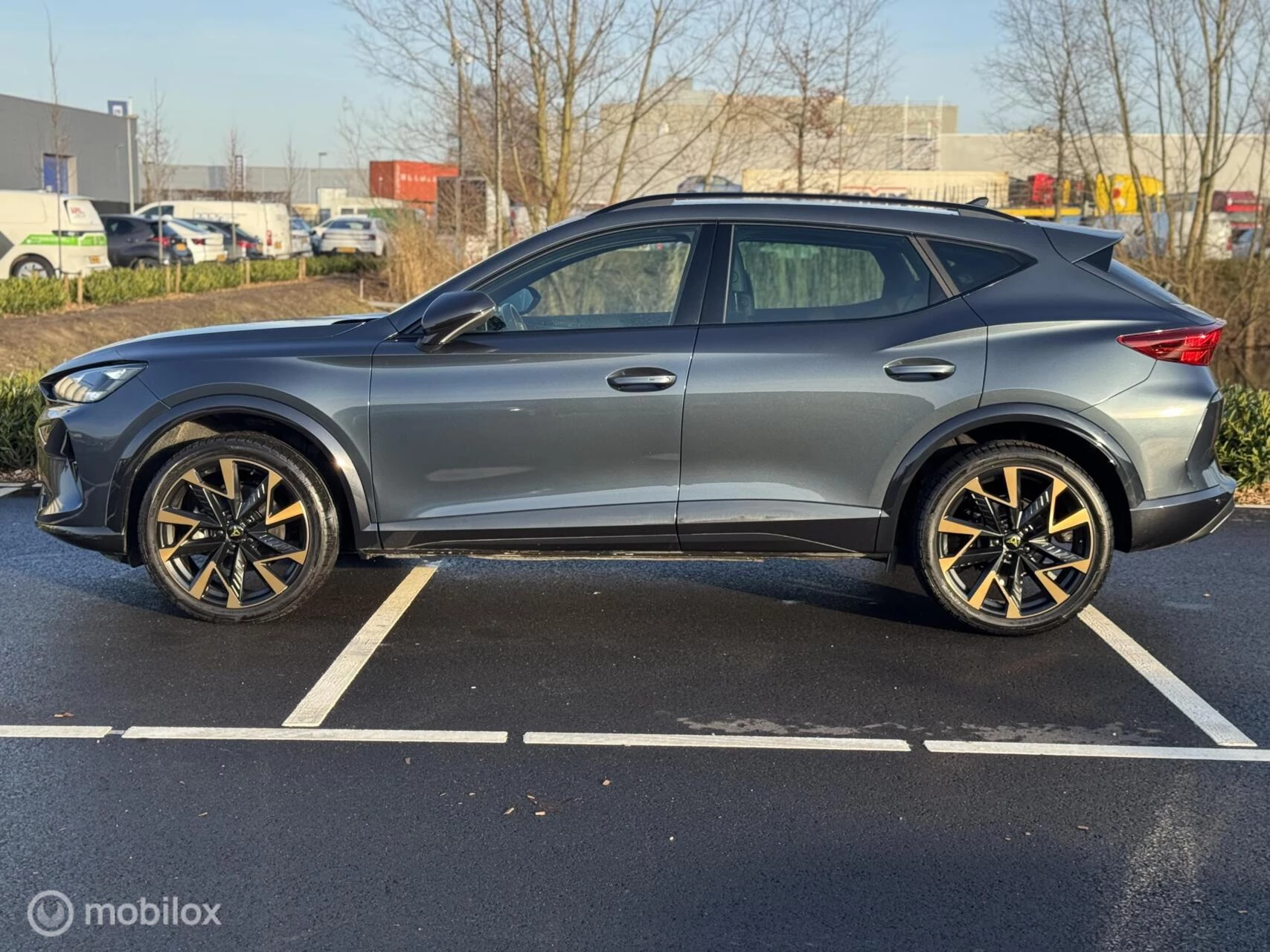 Hoofdafbeelding CUPRA Formentor