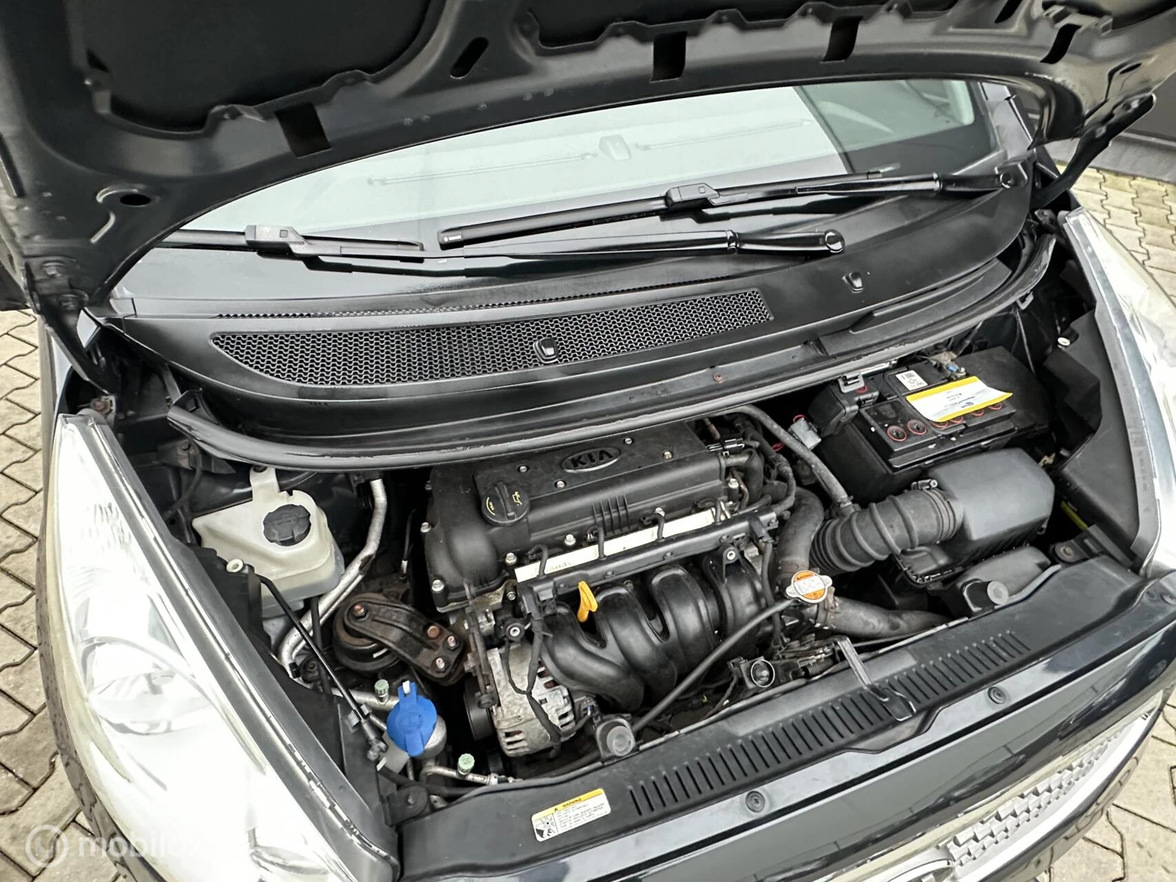 Hoofdafbeelding Kia Venga