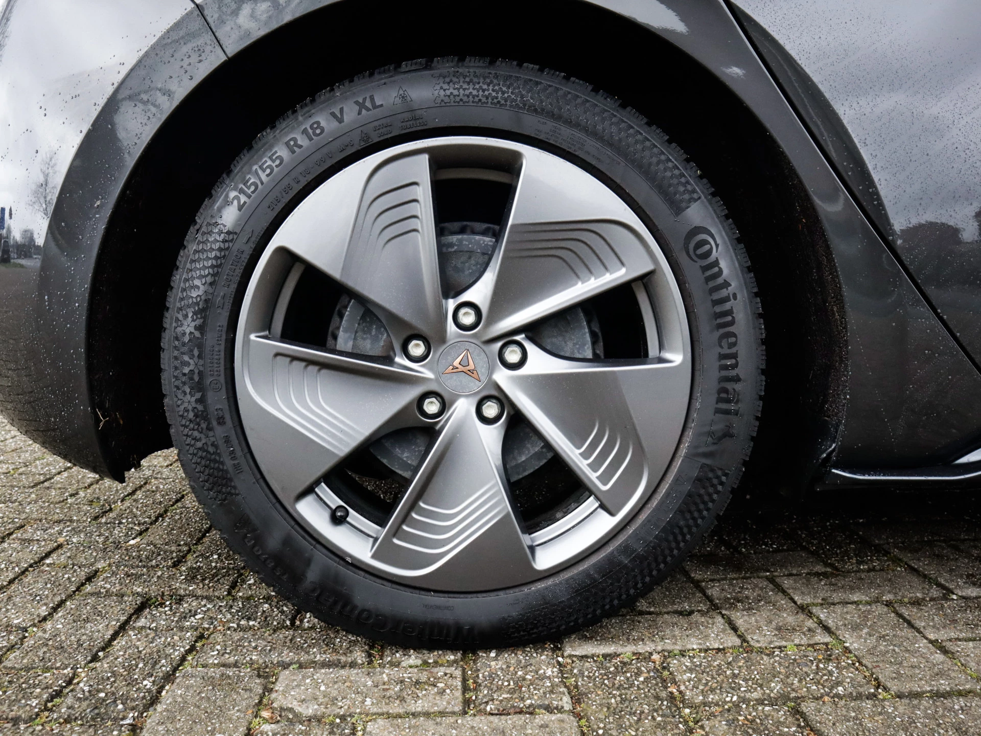 Hoofdafbeelding CUPRA Born