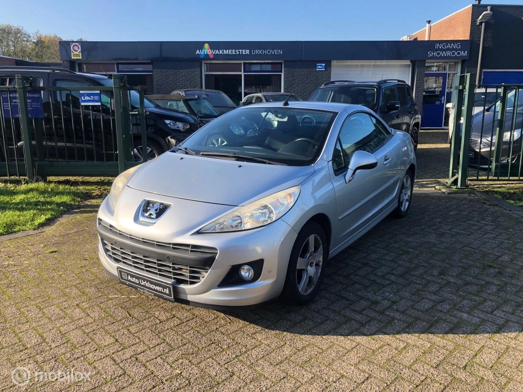 Hoofdafbeelding Peugeot 207