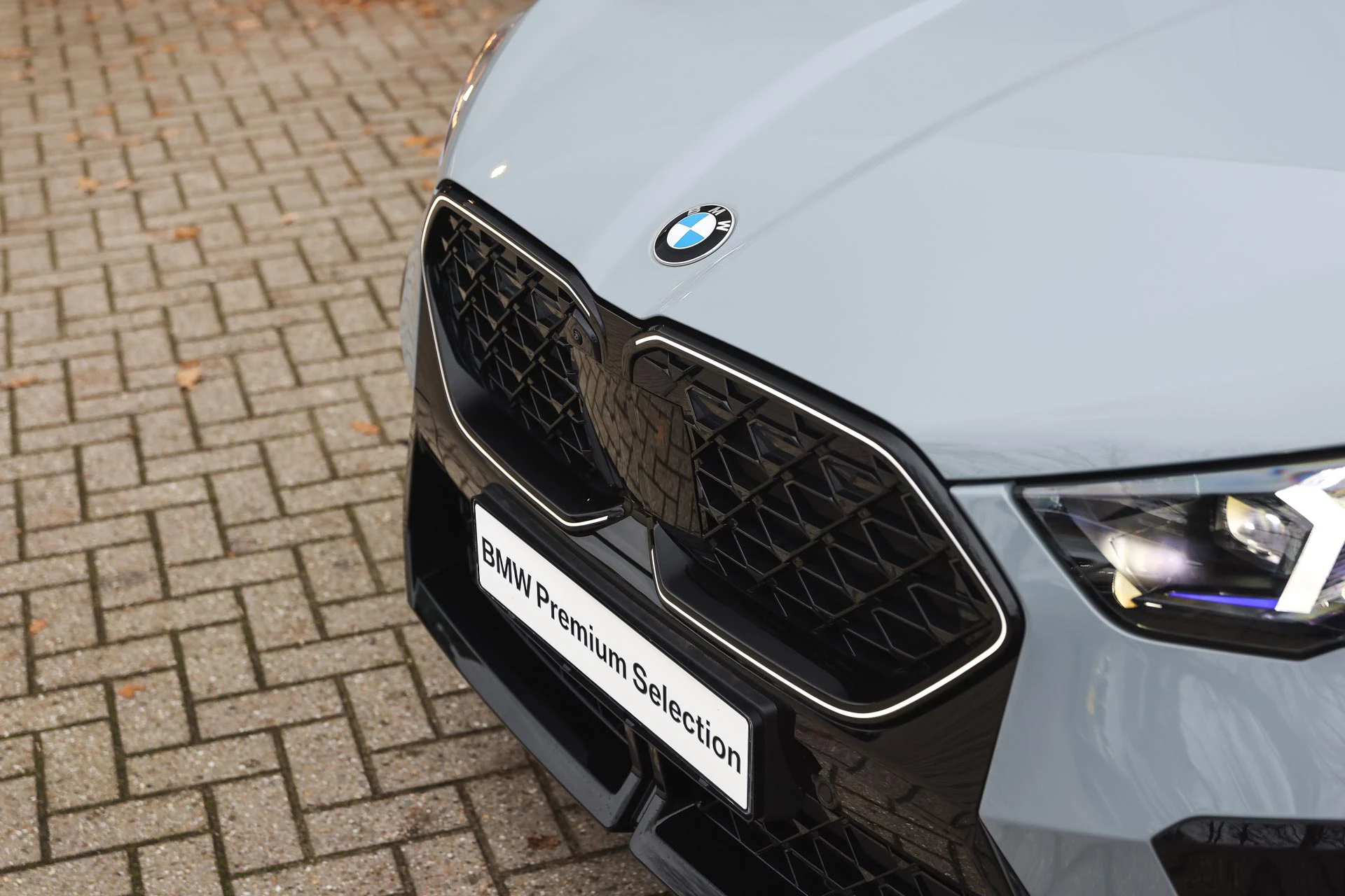 Hoofdafbeelding BMW X2