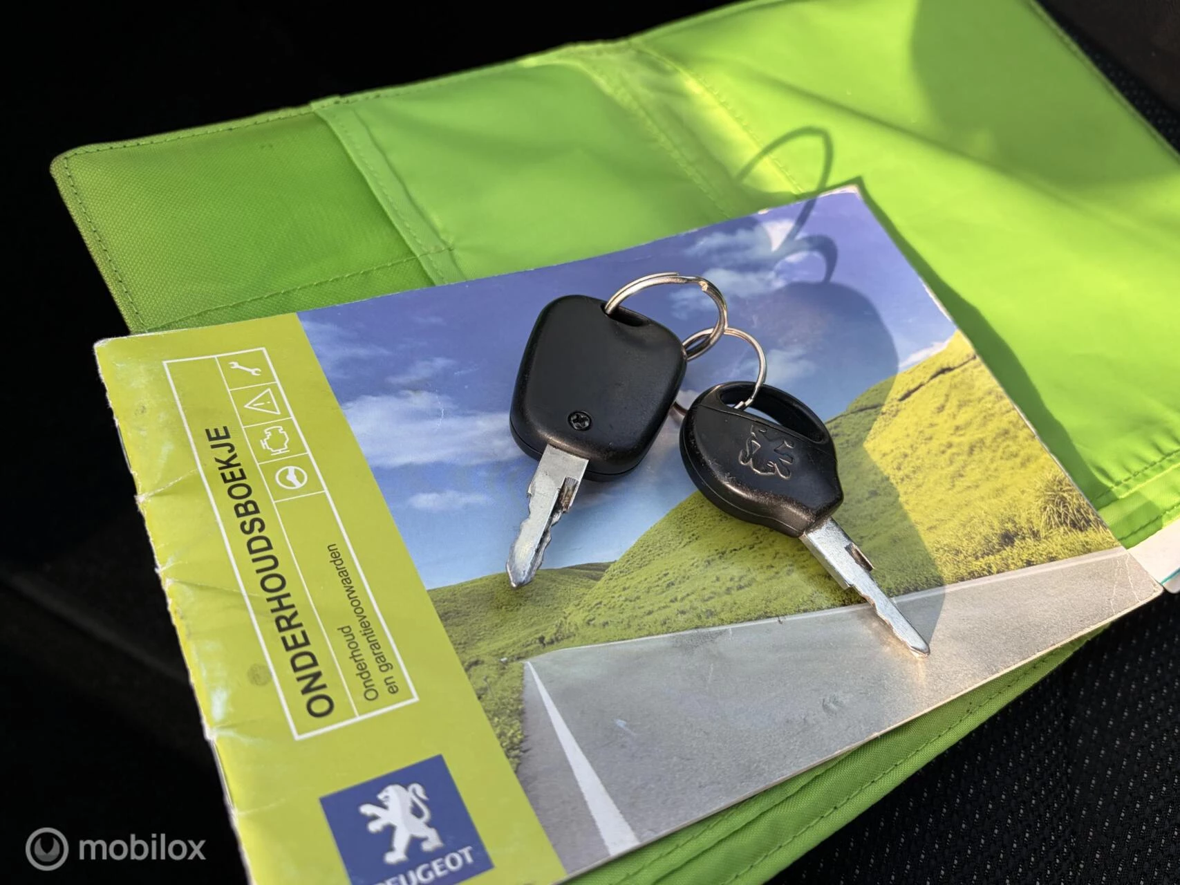 Hoofdafbeelding Peugeot 206