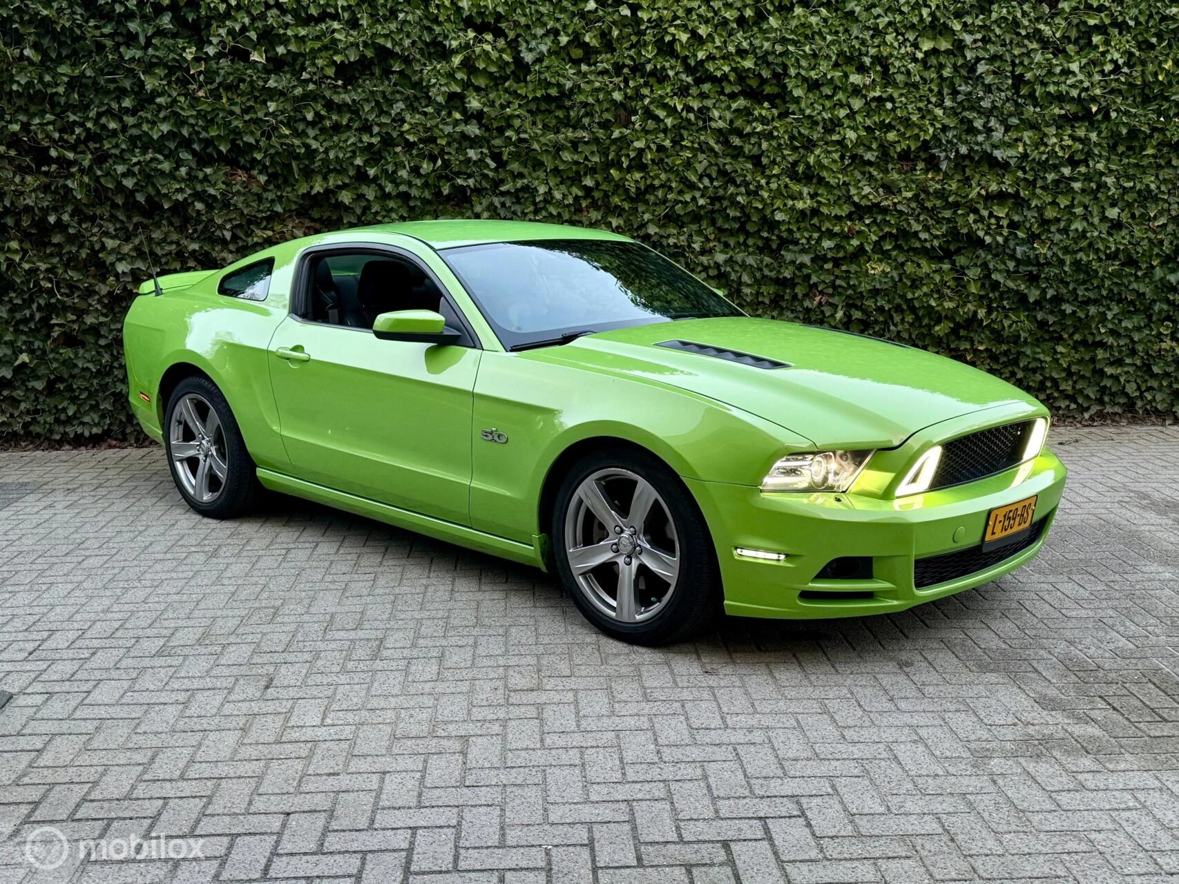 Hoofdafbeelding Ford Mustang