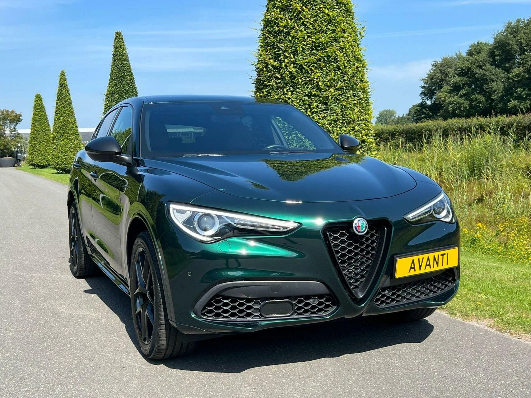 Hoofdafbeelding Alfa Romeo Stelvio