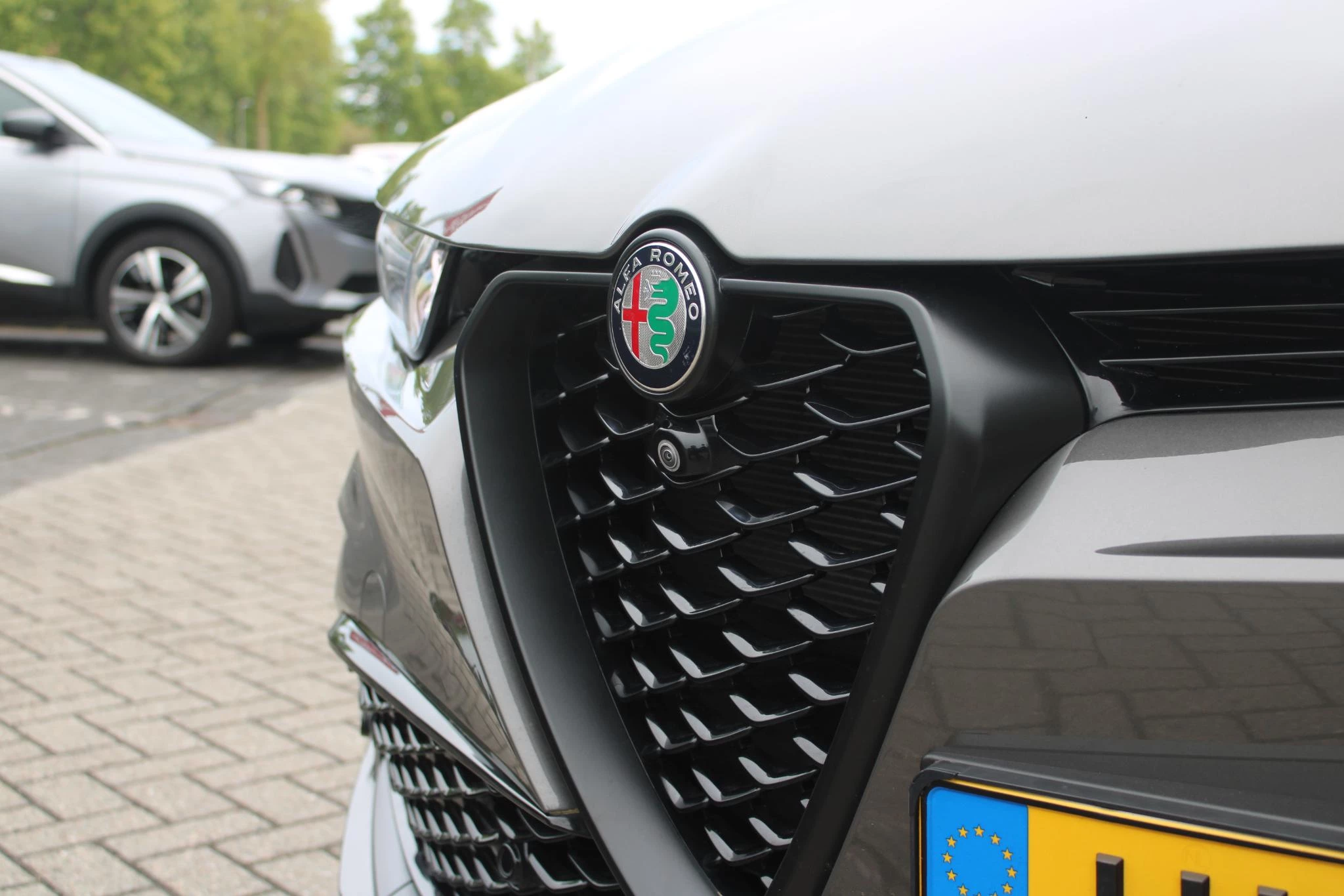 Hoofdafbeelding Alfa Romeo Tonale