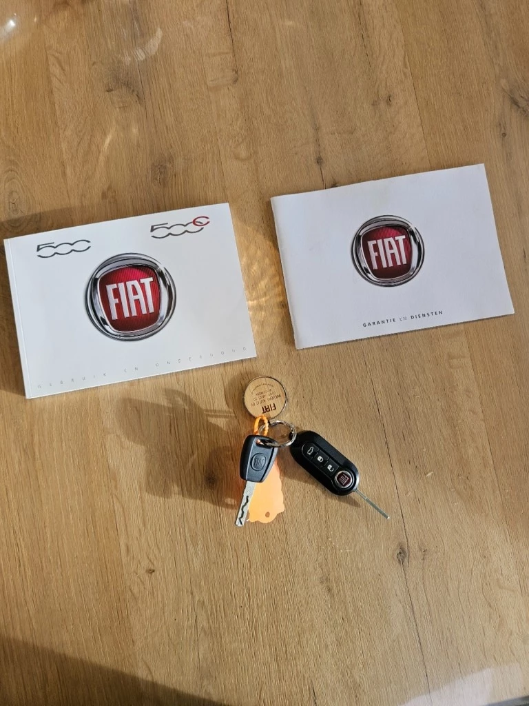 Hoofdafbeelding Fiat 500