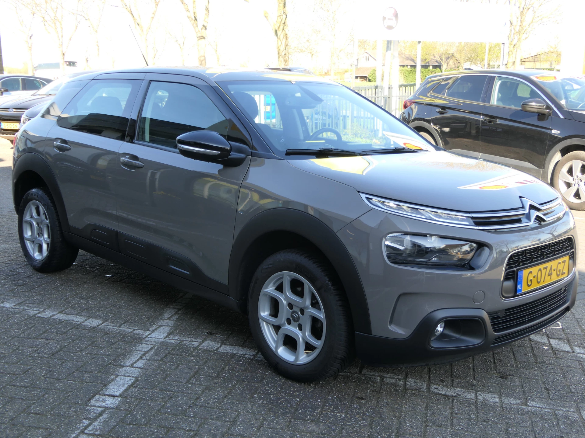 Hoofdafbeelding Citroën C4 Cactus