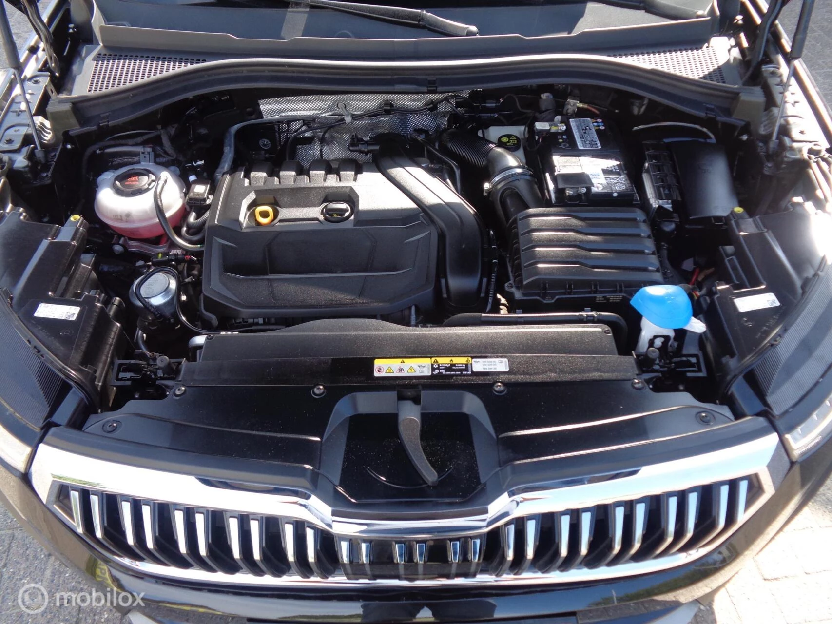 Hoofdafbeelding Škoda Kodiaq