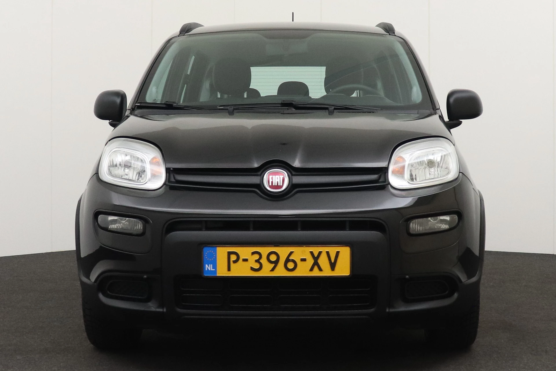 Hoofdafbeelding Fiat Panda