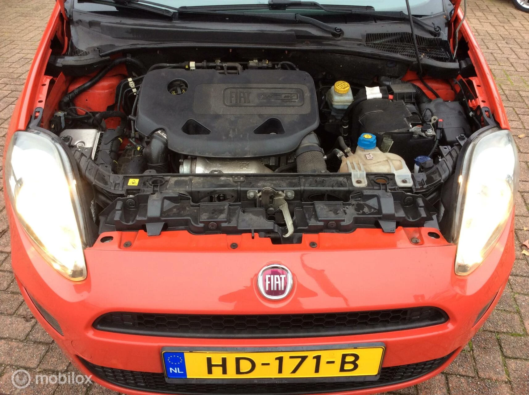 Hoofdafbeelding Fiat Punto