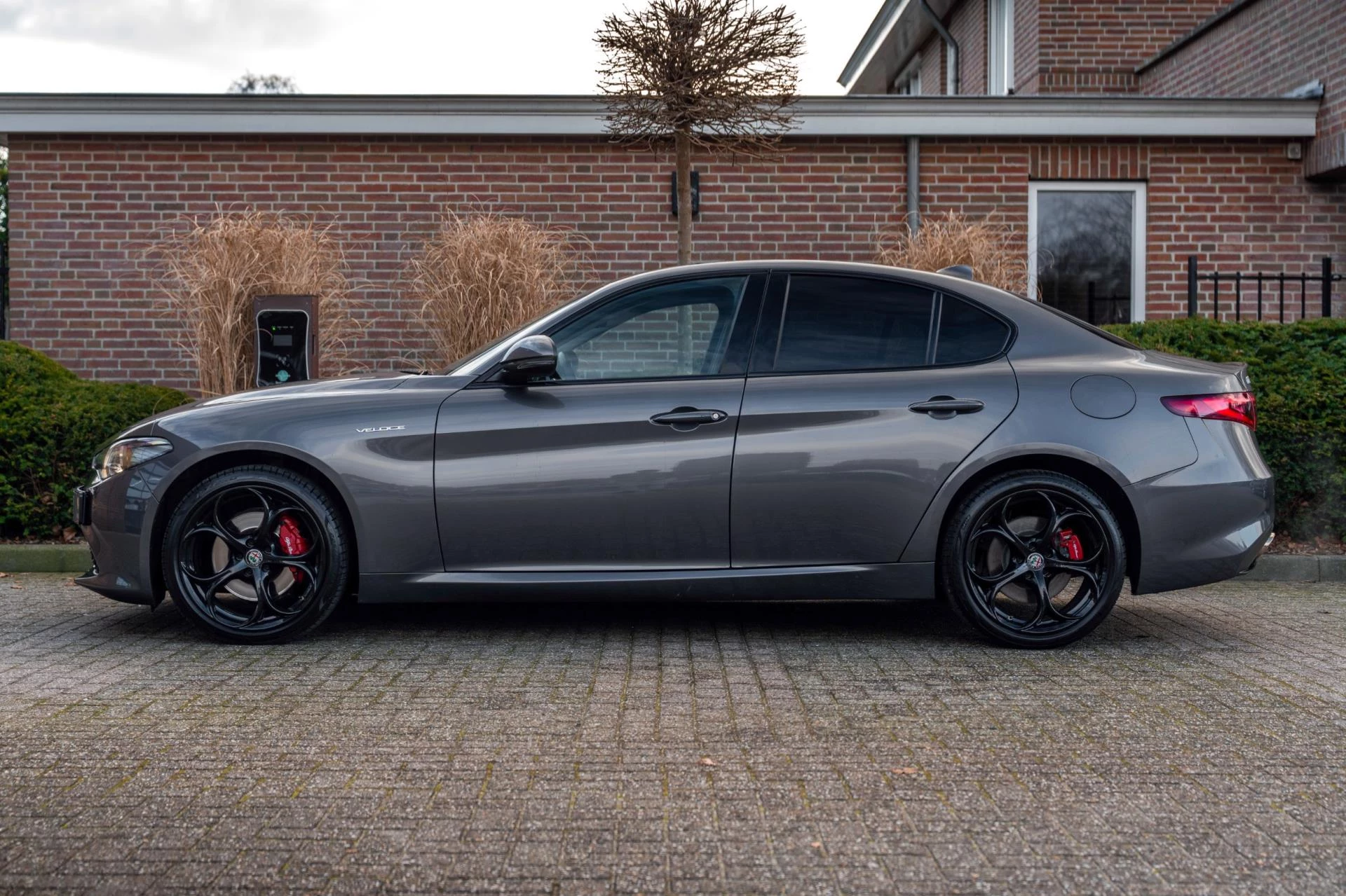 Hoofdafbeelding Alfa Romeo Giulia