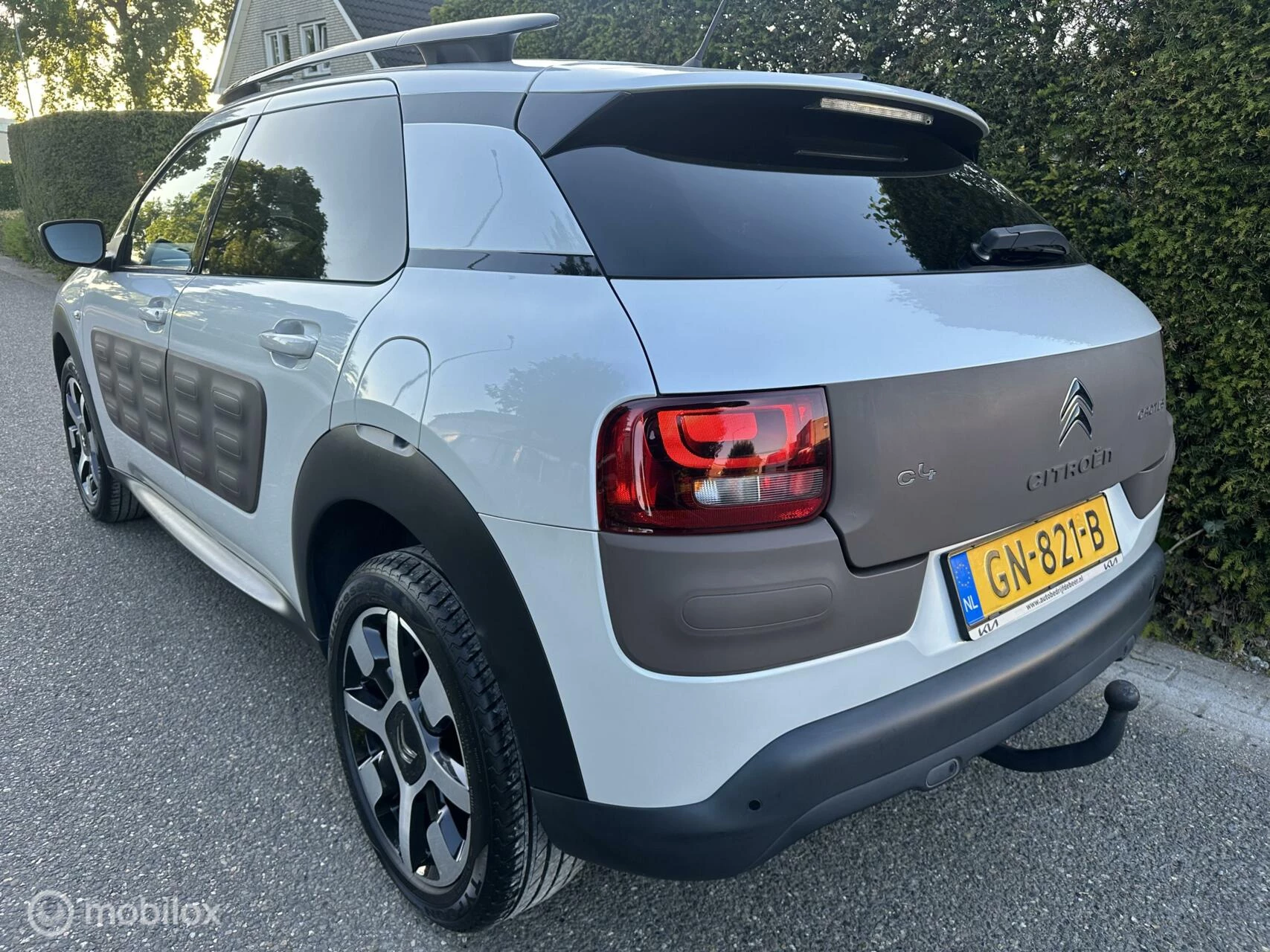Hoofdafbeelding Citroën C4 Cactus