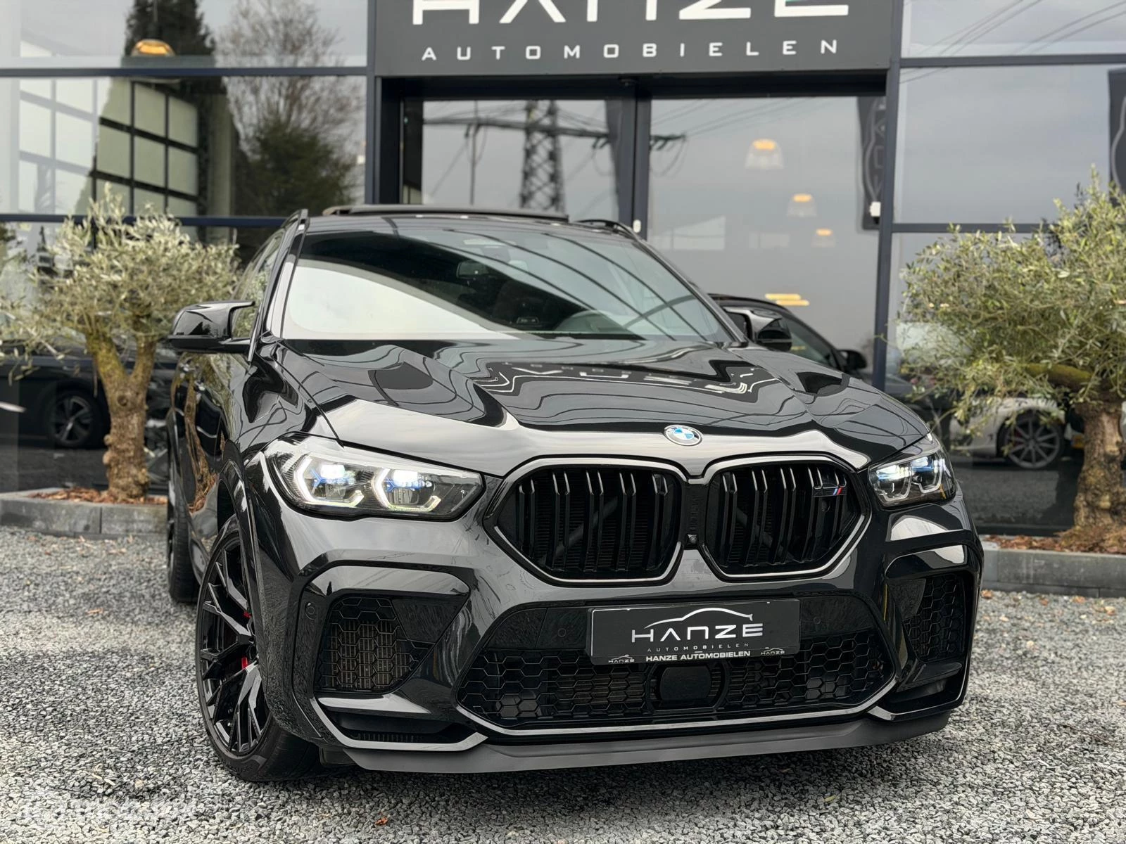 Hoofdafbeelding BMW X6