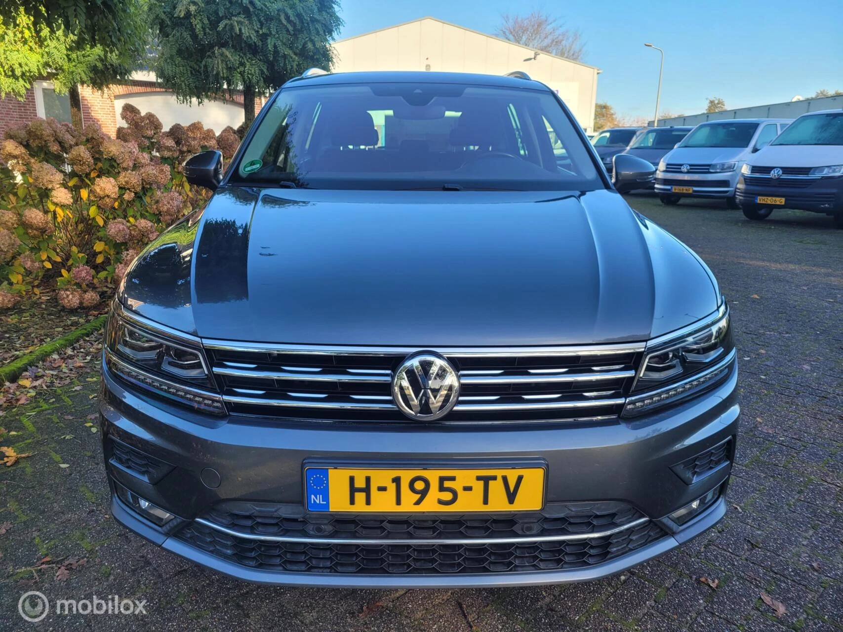 Hoofdafbeelding Volkswagen Tiguan