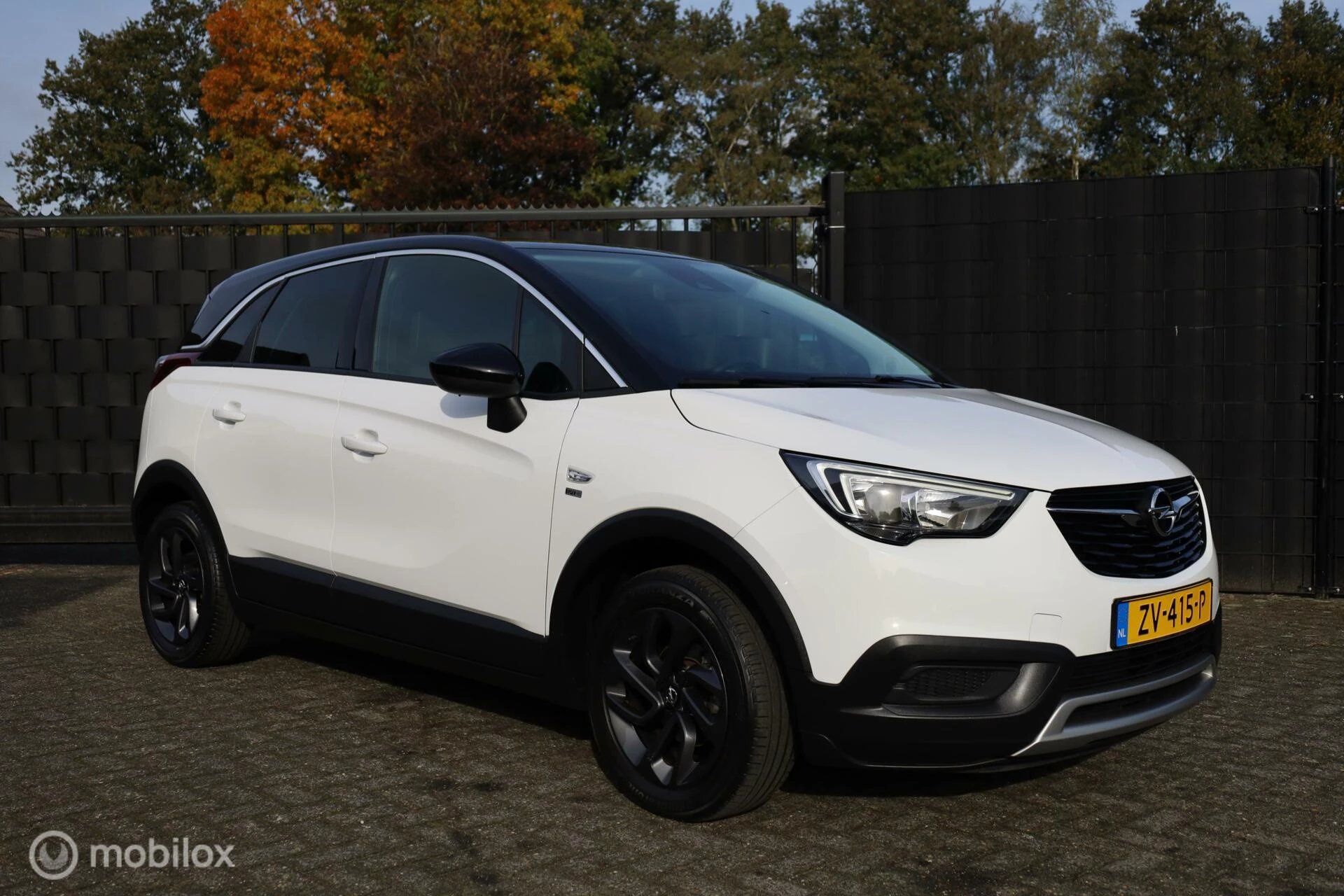 Hoofdafbeelding Opel Crossland X