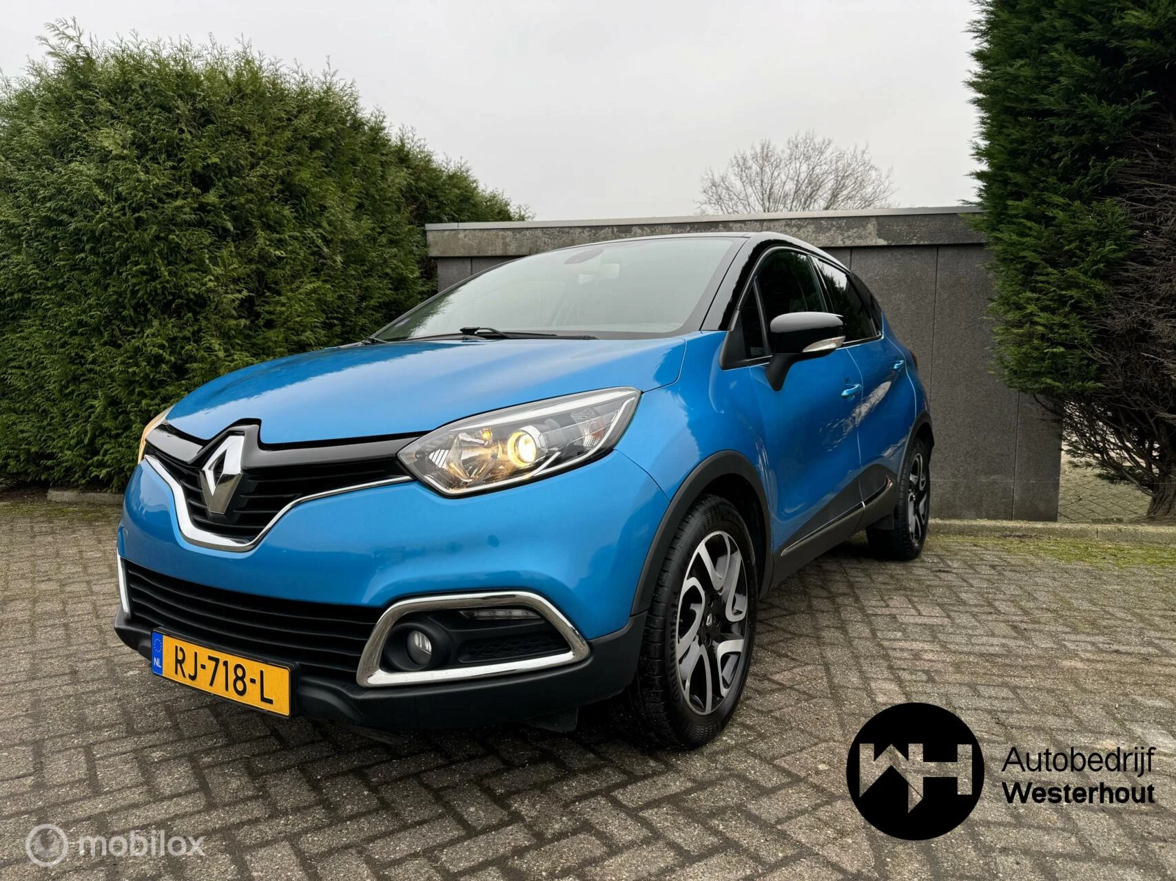 Hoofdafbeelding Renault Captur