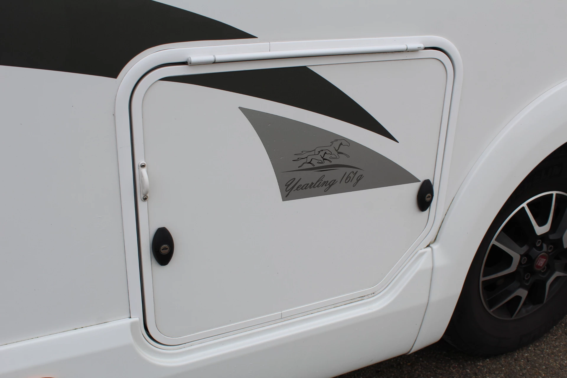 Hoofdafbeelding McLouis YEARLING