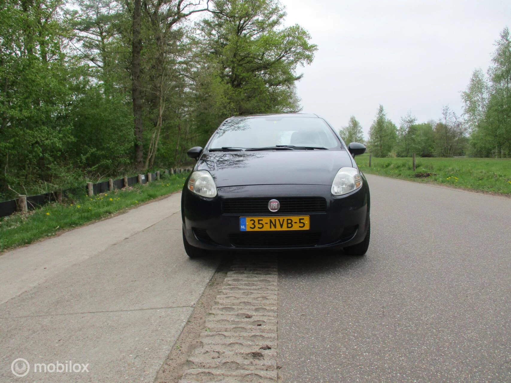 Hoofdafbeelding Fiat Grande Punto