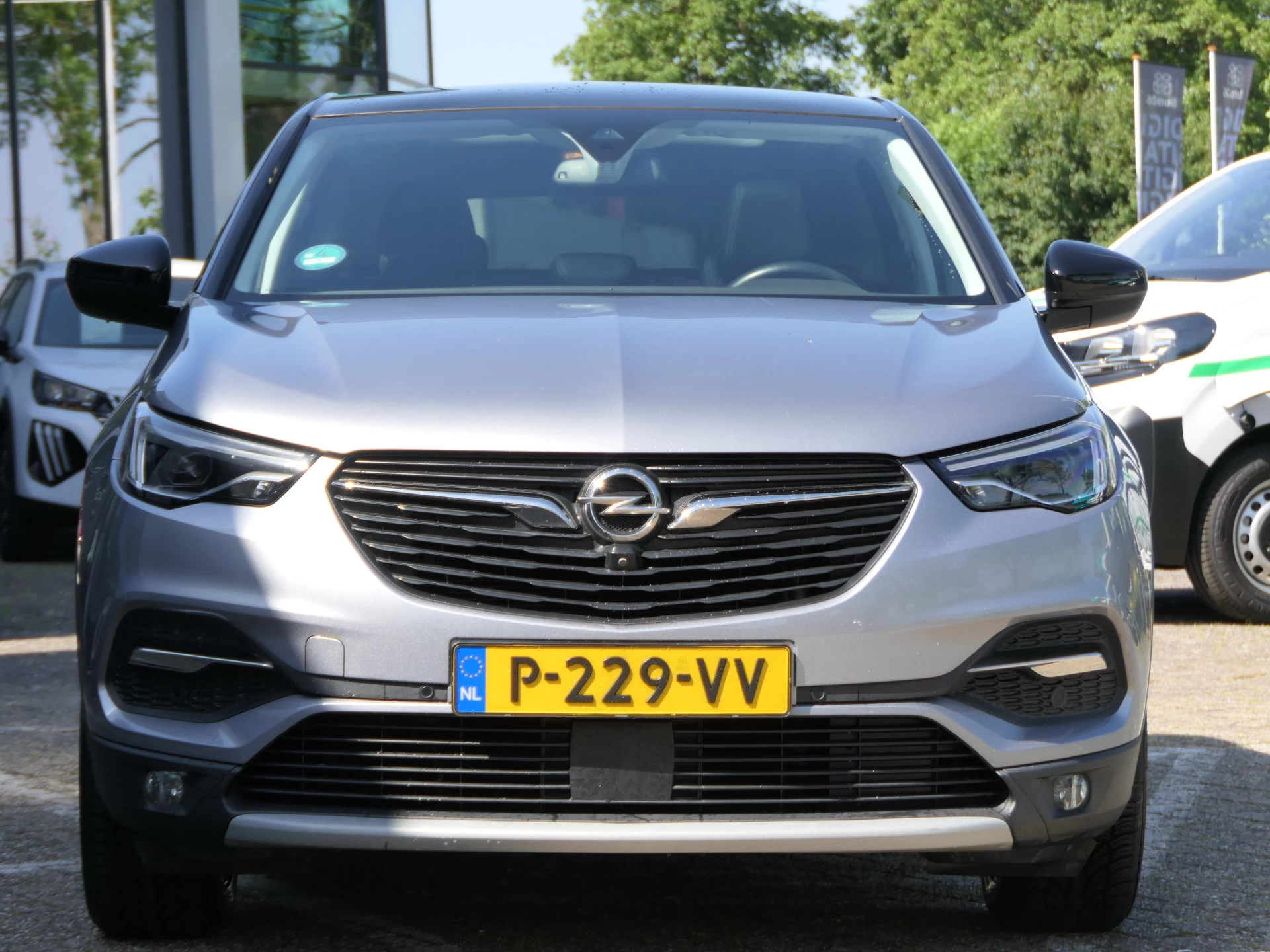 Hoofdafbeelding Opel Grandland X