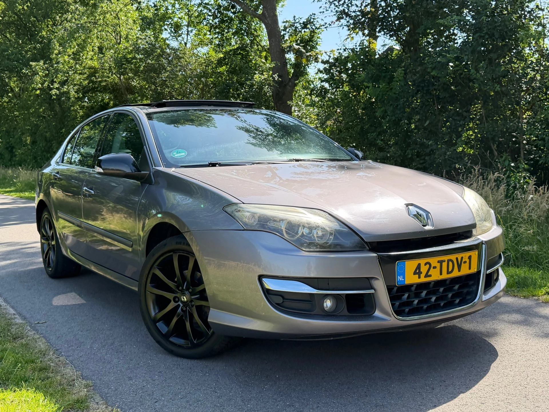 Hoofdafbeelding Renault Laguna