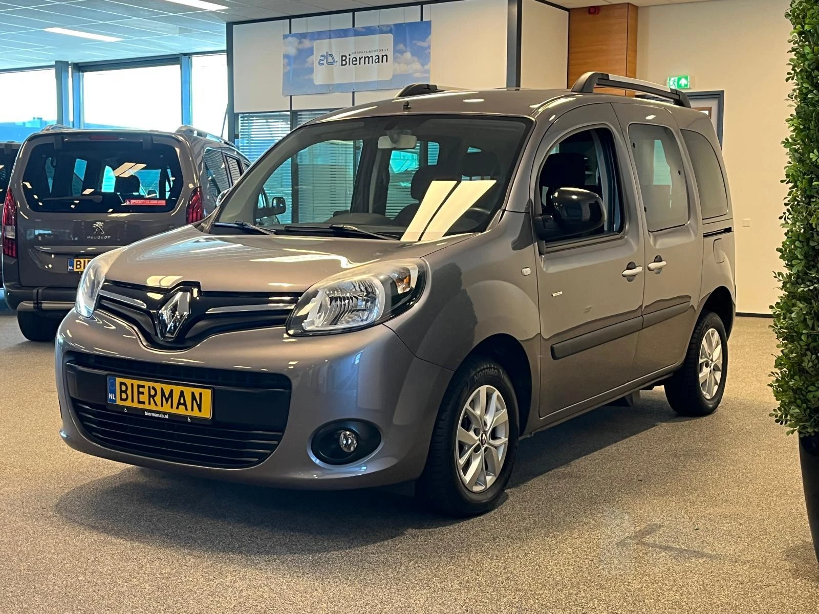 Hoofdafbeelding Renault Kangoo