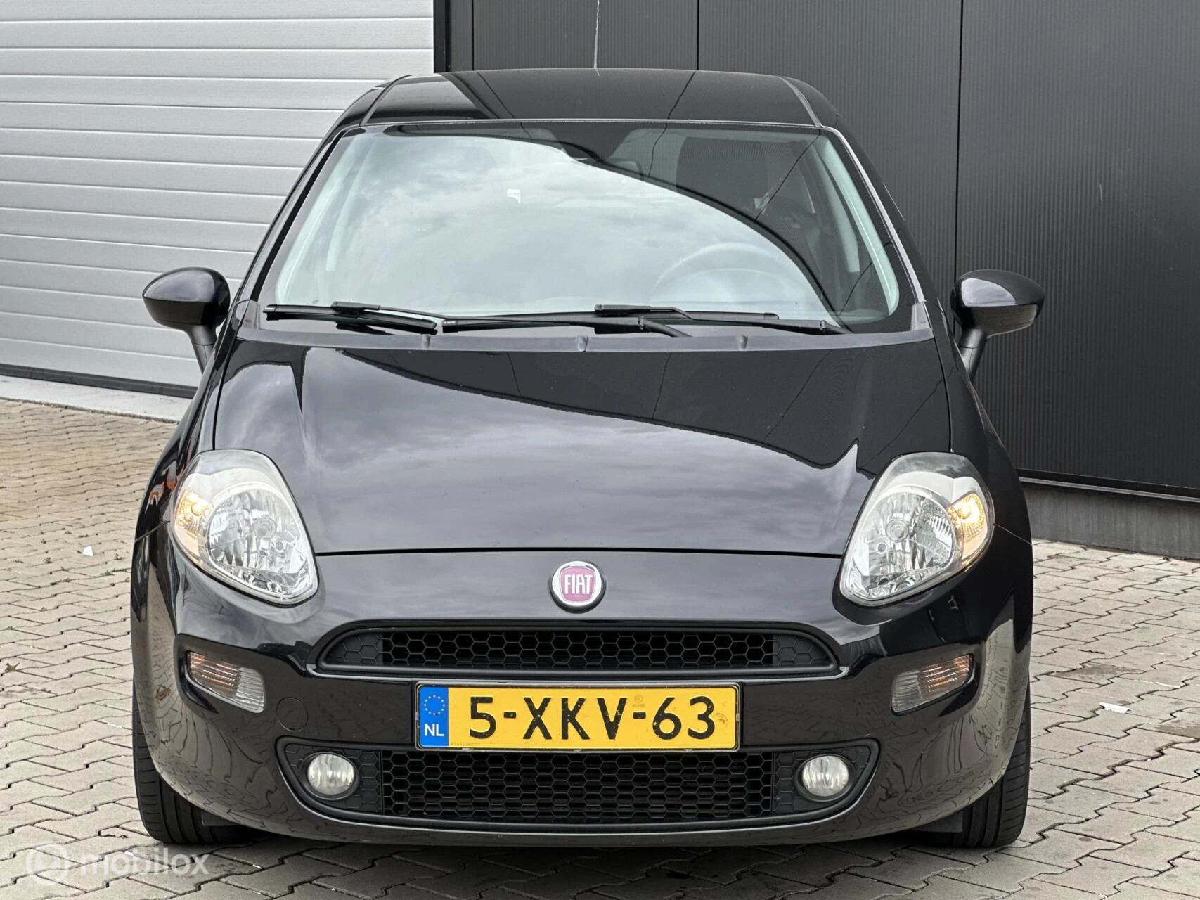 Hoofdafbeelding Fiat Punto