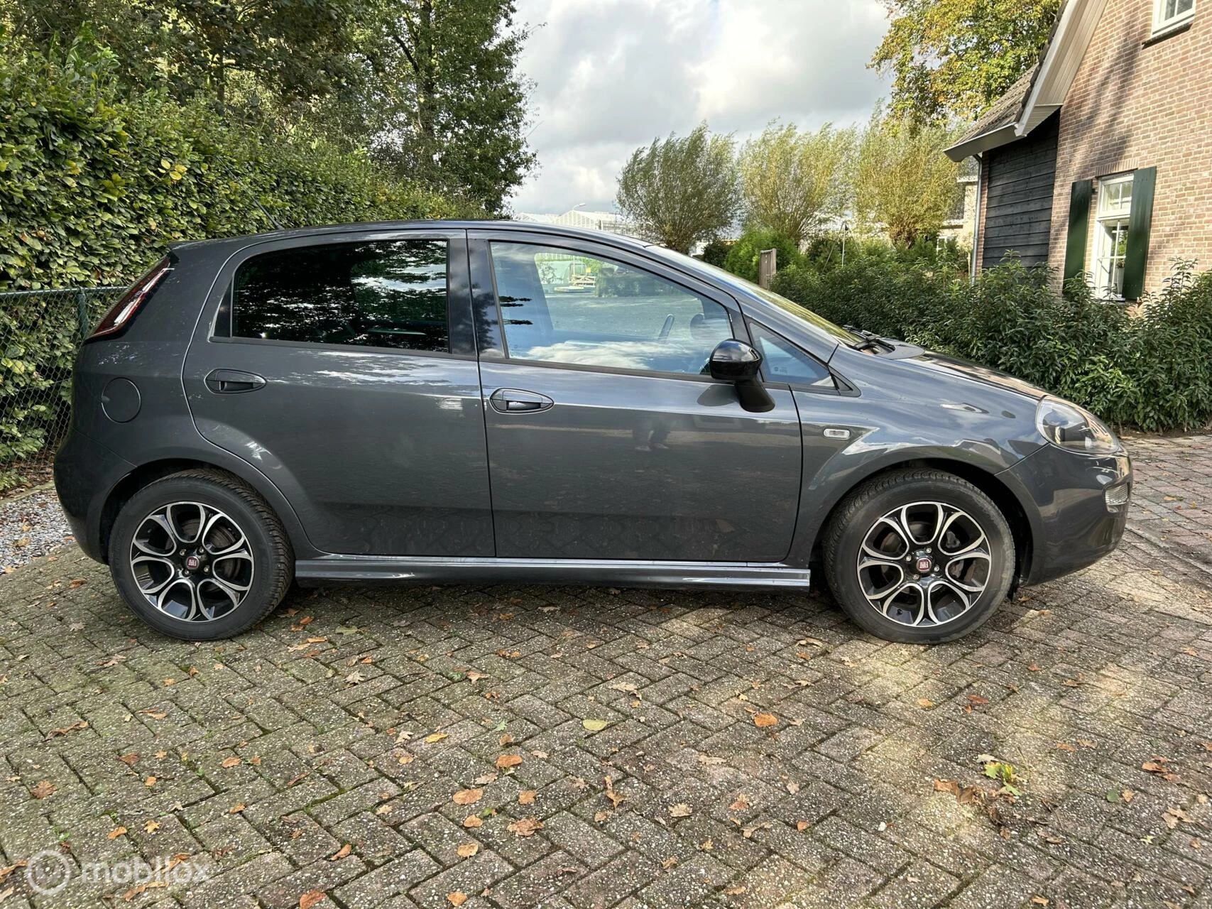 Hoofdafbeelding Fiat Punto