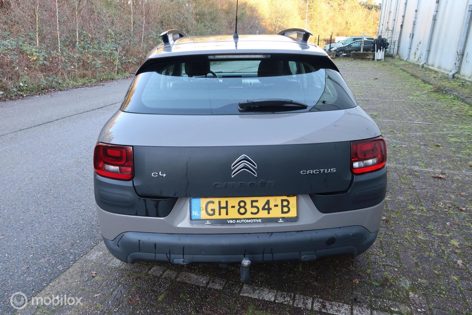 Hoofdafbeelding Citroën C4 Cactus