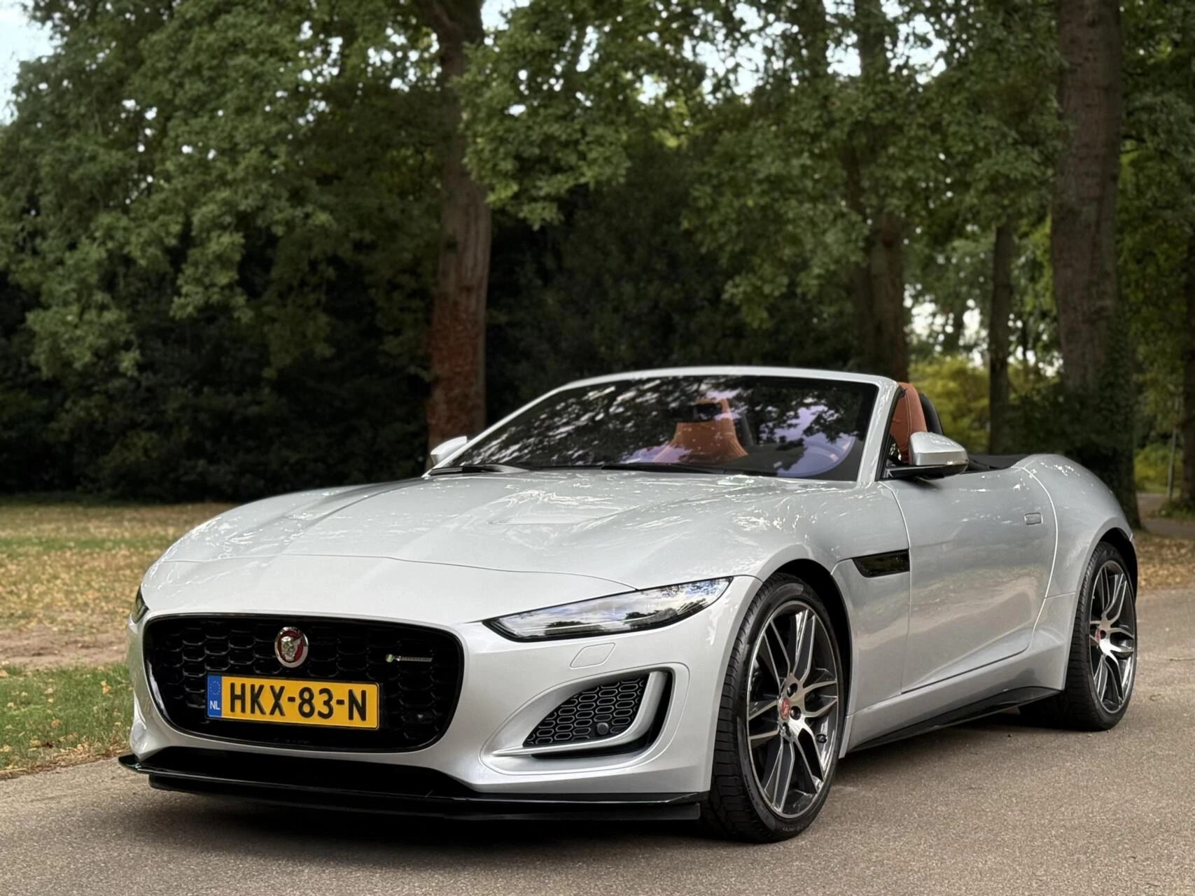 Hoofdafbeelding Jaguar F-Type