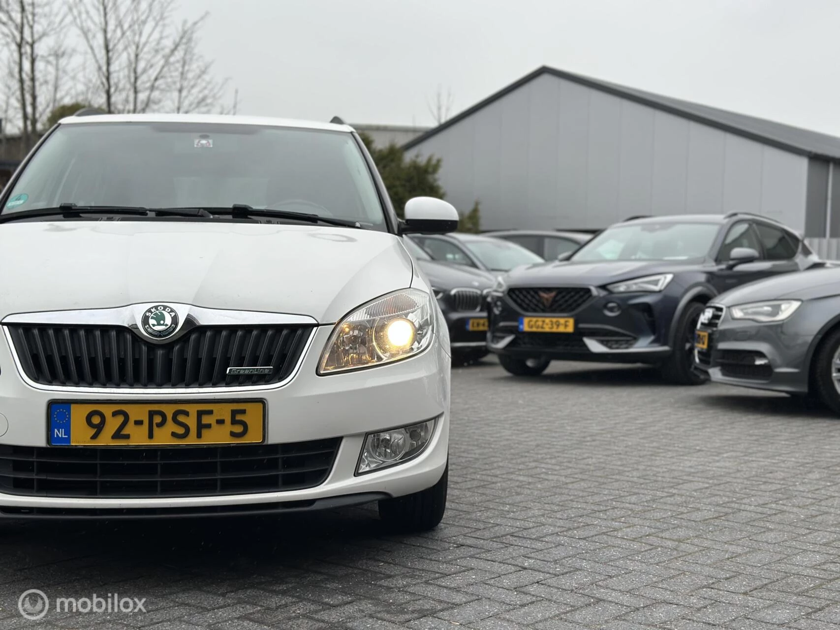 Hoofdafbeelding Škoda Fabia