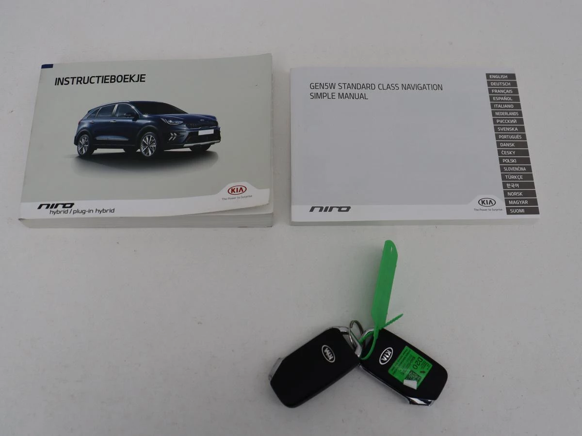 Hoofdafbeelding Kia Niro