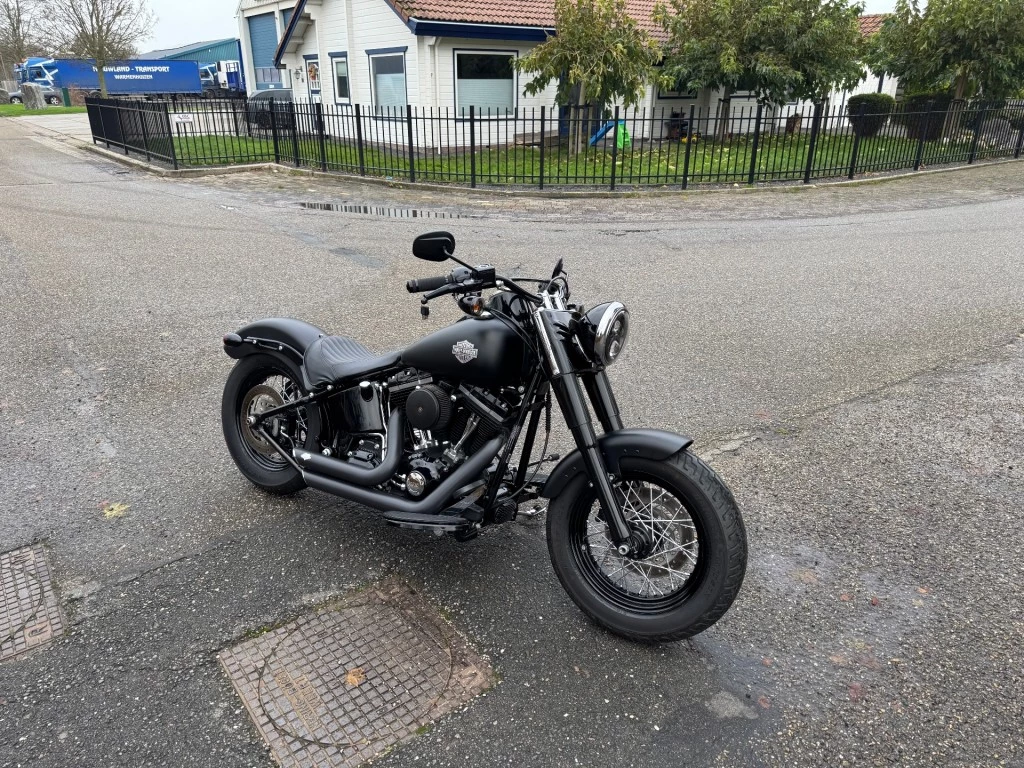 Hoofdafbeelding Harley-Davidson Softail