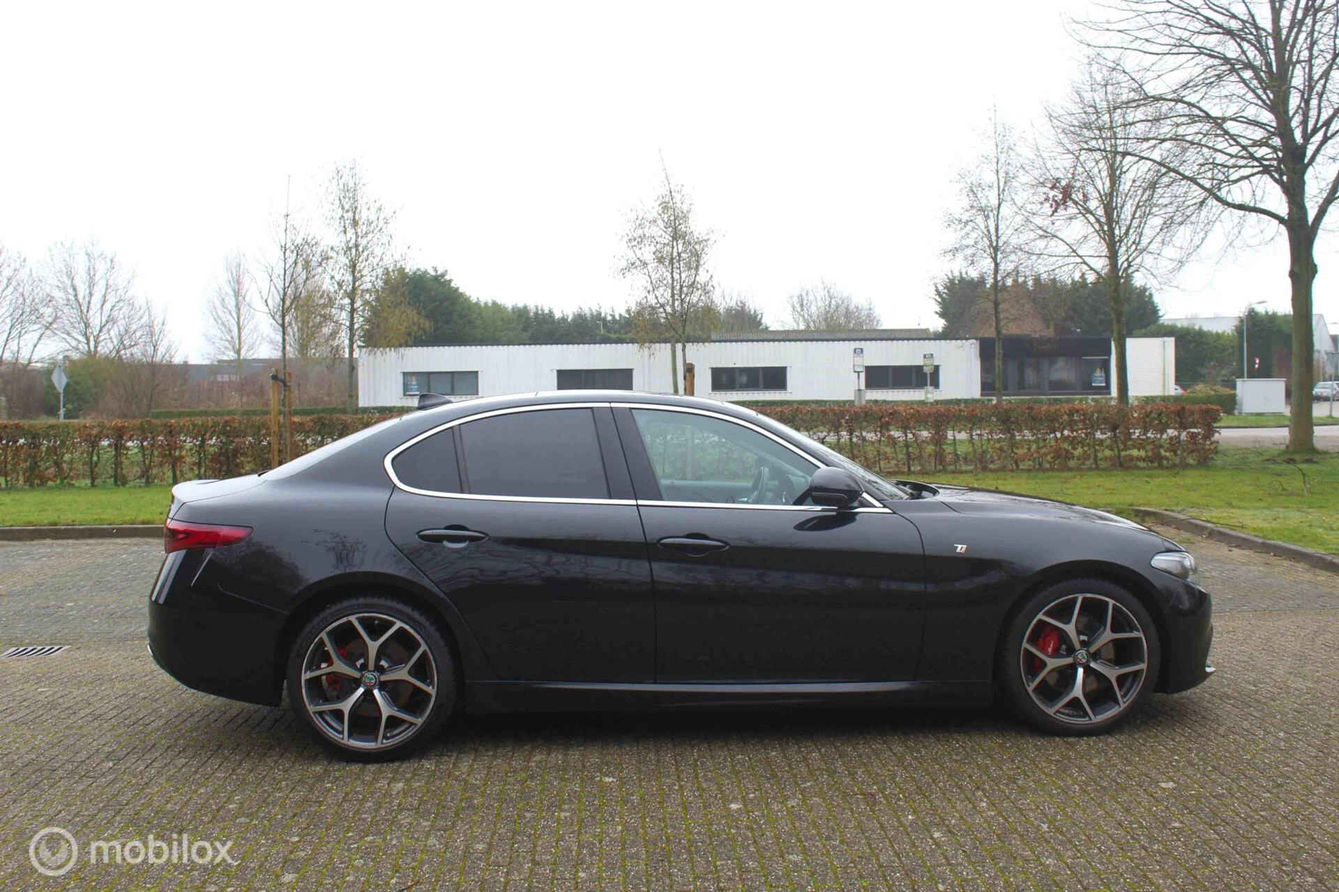 Hoofdafbeelding Alfa Romeo Giulia