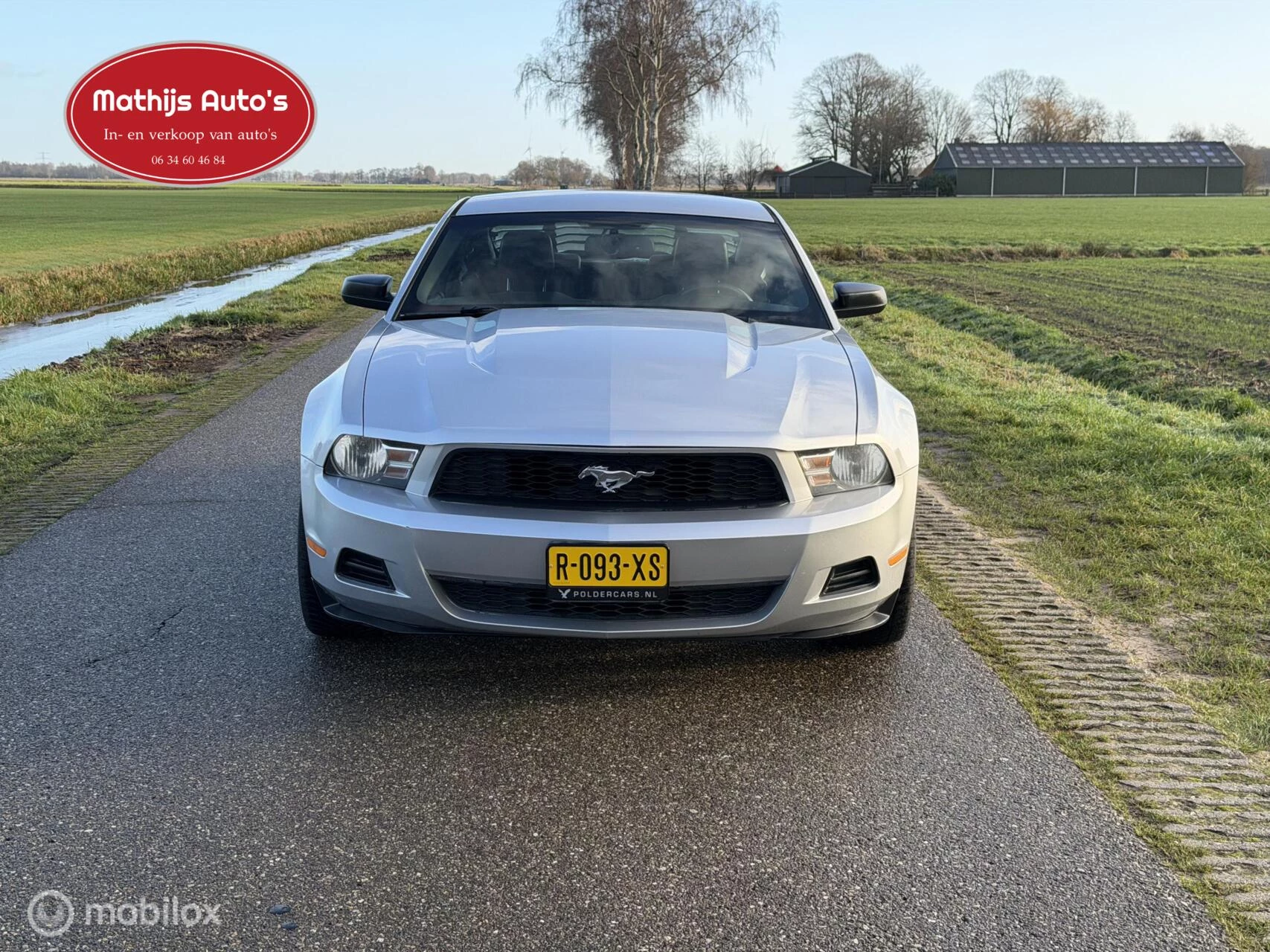 Hoofdafbeelding Ford Mustang