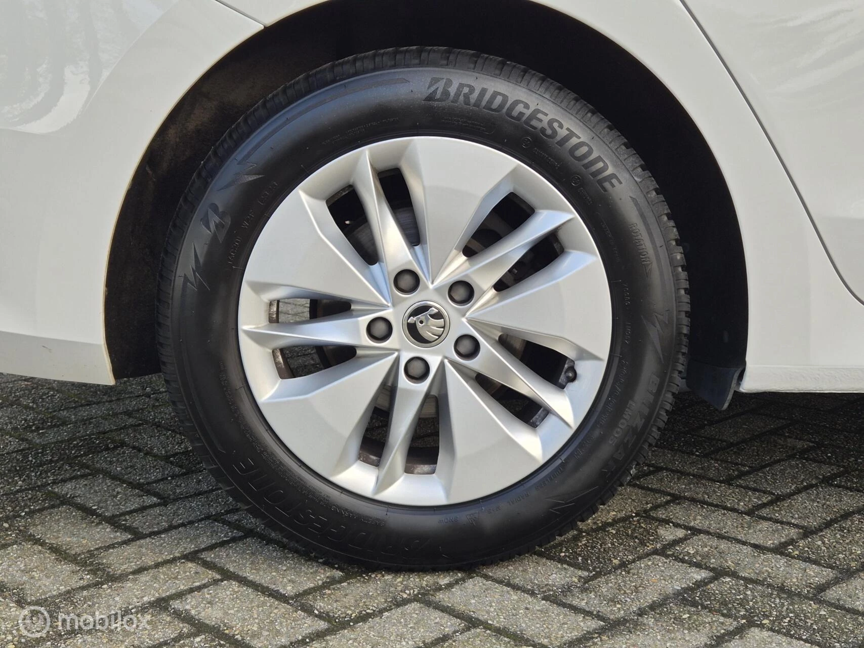 Hoofdafbeelding Škoda Octavia