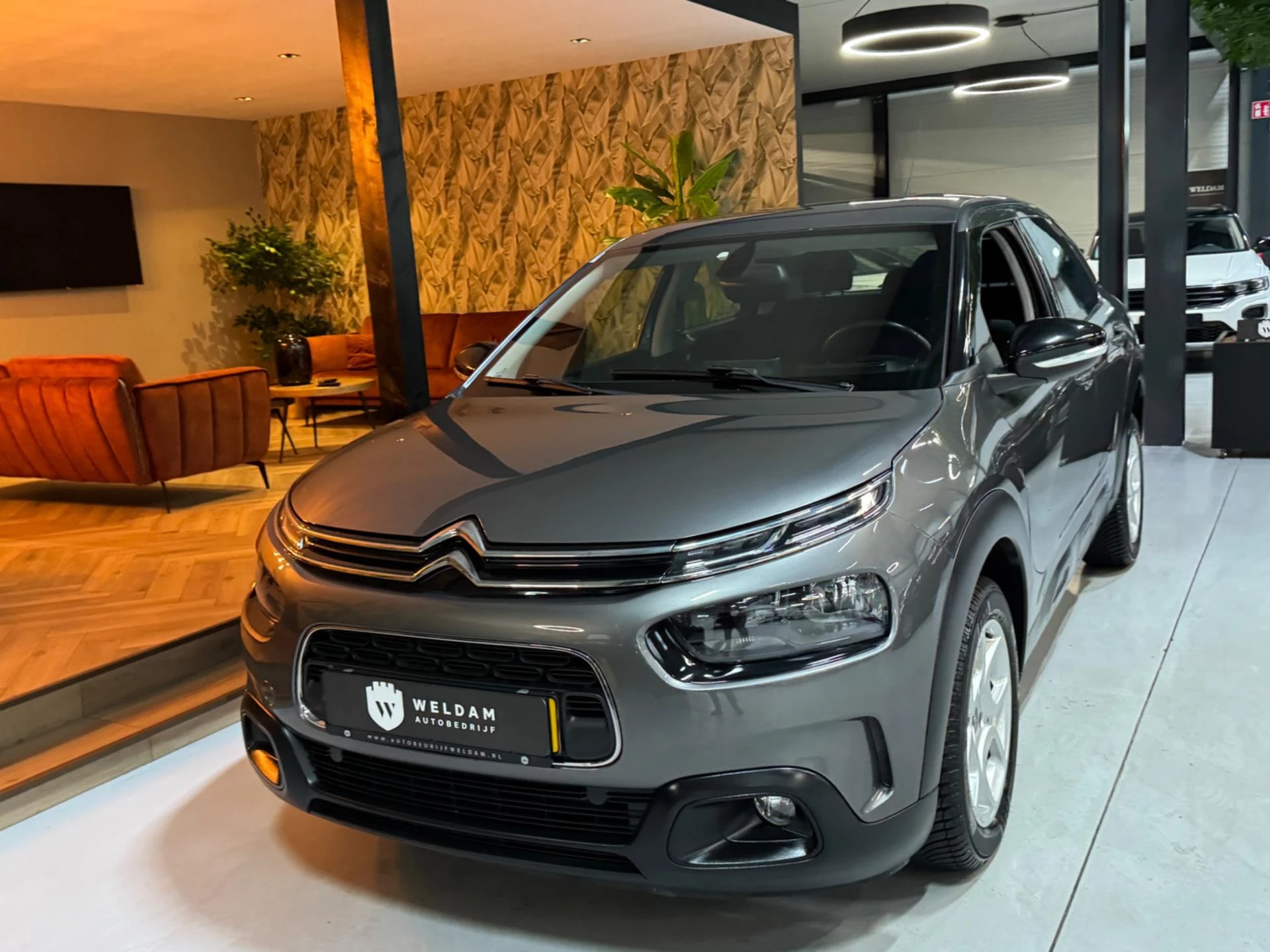 Hoofdafbeelding Citroën C4 Cactus