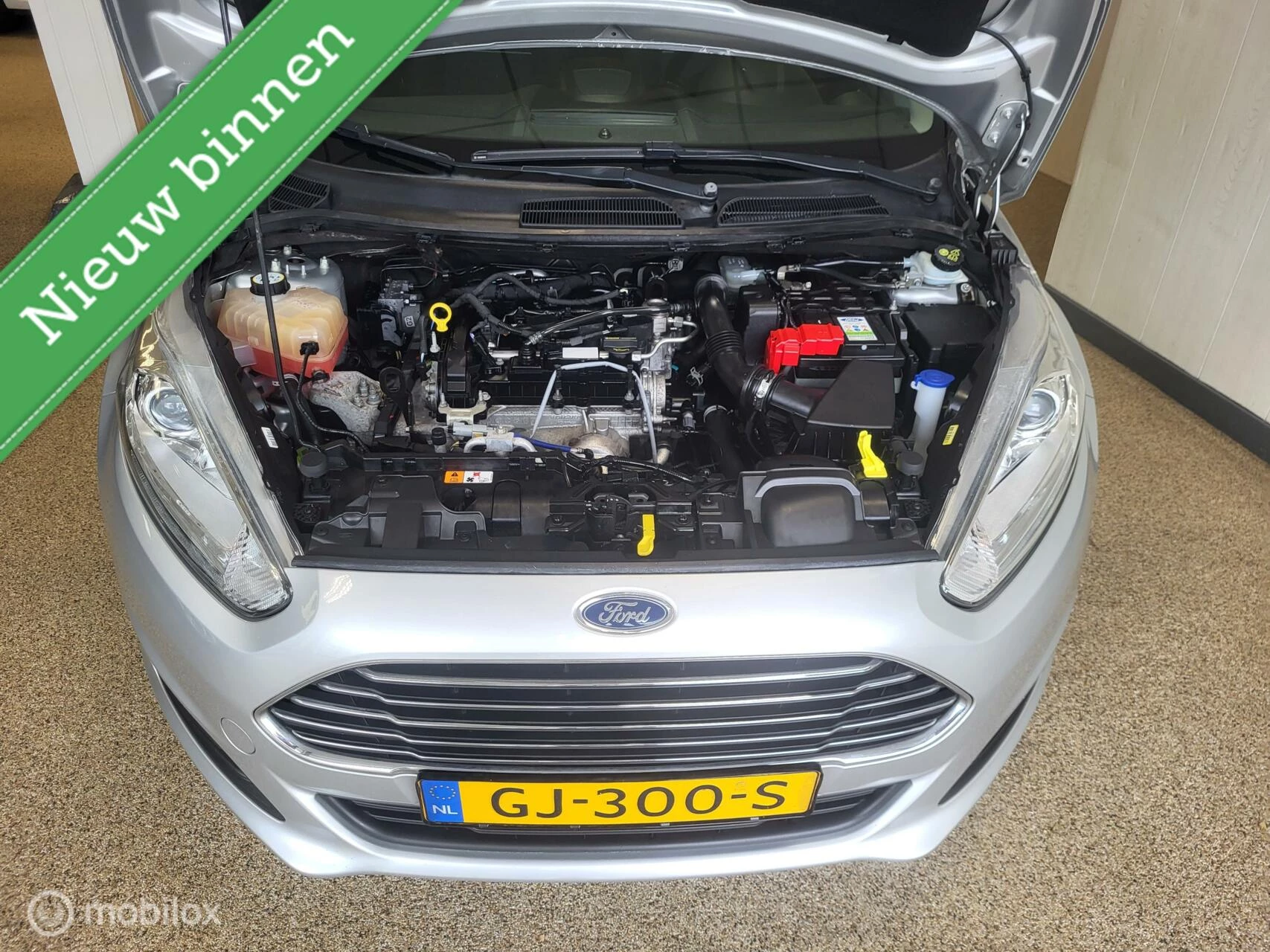 Hoofdafbeelding Ford Fiesta
