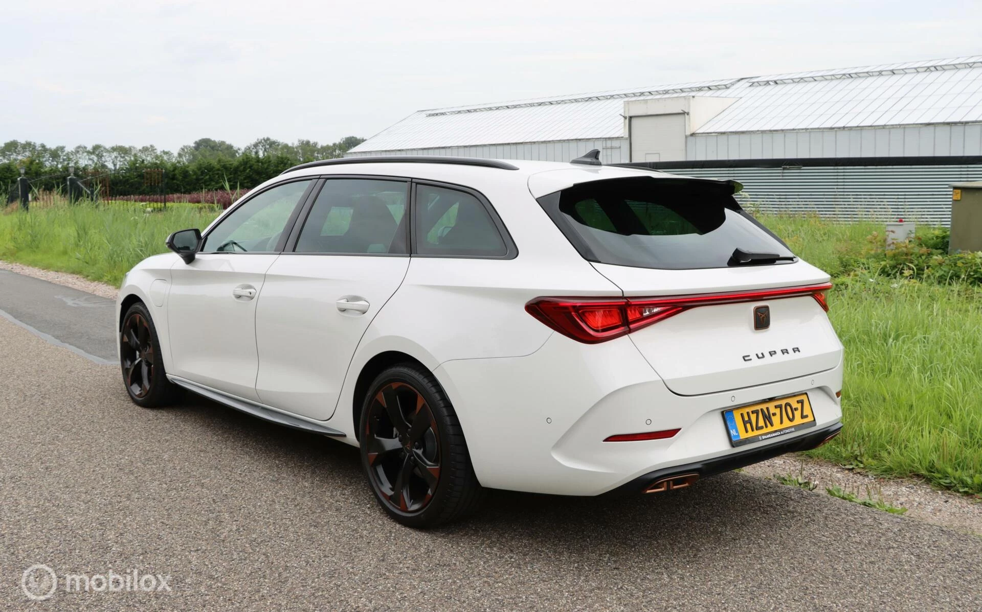 Hoofdafbeelding CUPRA Leon Sportstourer