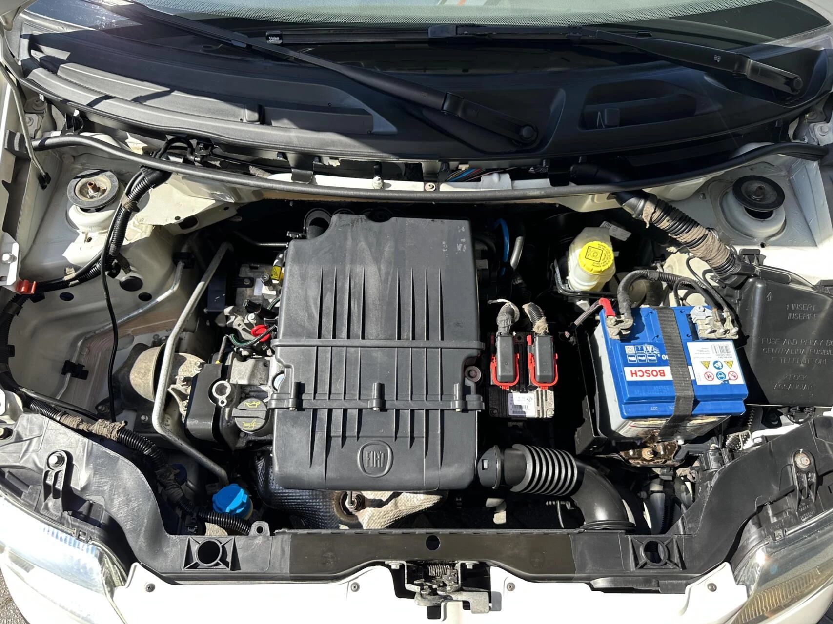 Hoofdafbeelding Fiat Panda