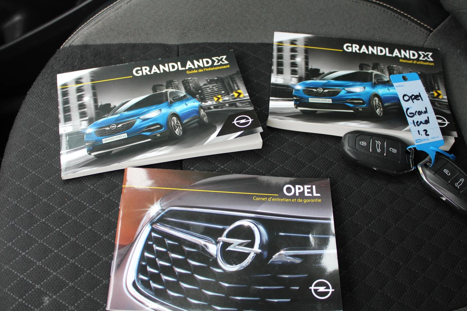 Hoofdafbeelding Opel Grandland X