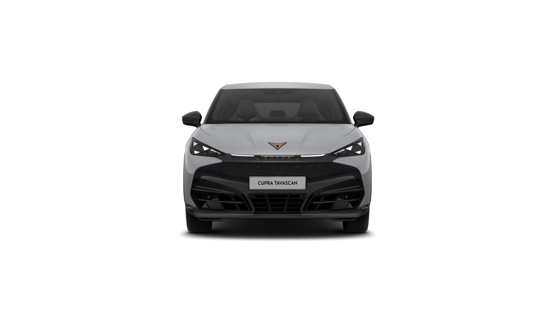 Hoofdafbeelding CUPRA Tavascan